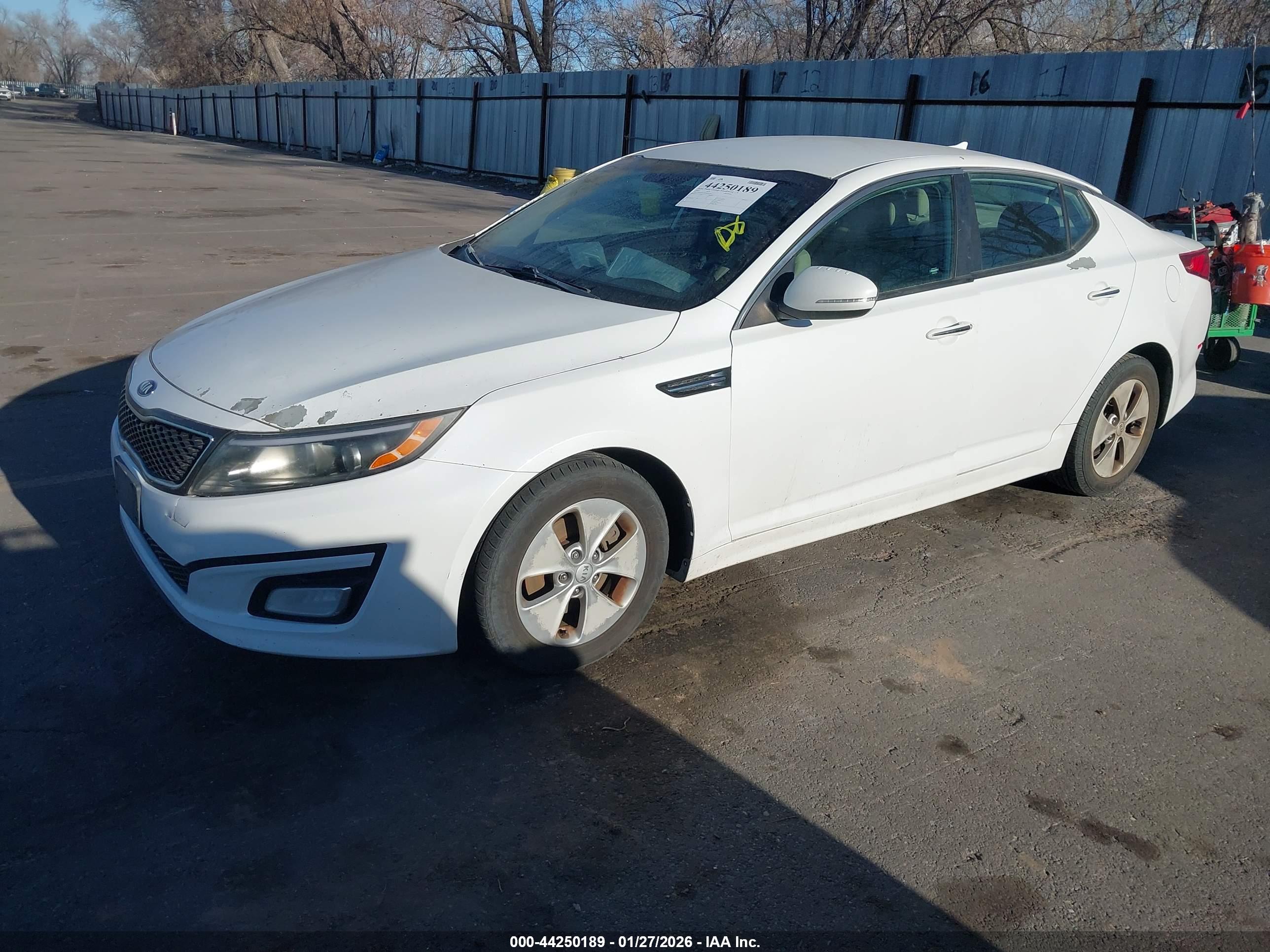 KIA OPTIMA image 2