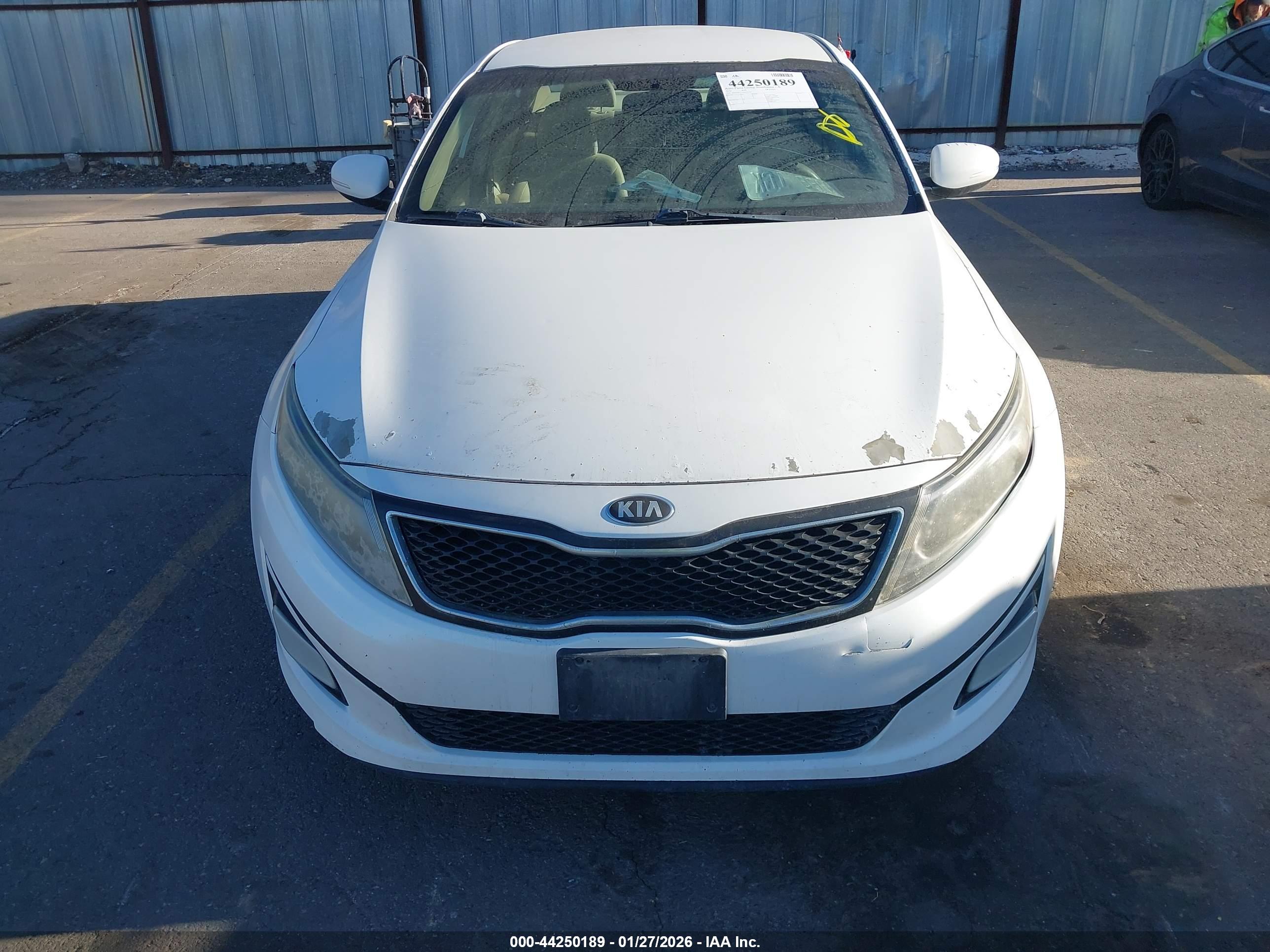 KIA OPTIMA image 6