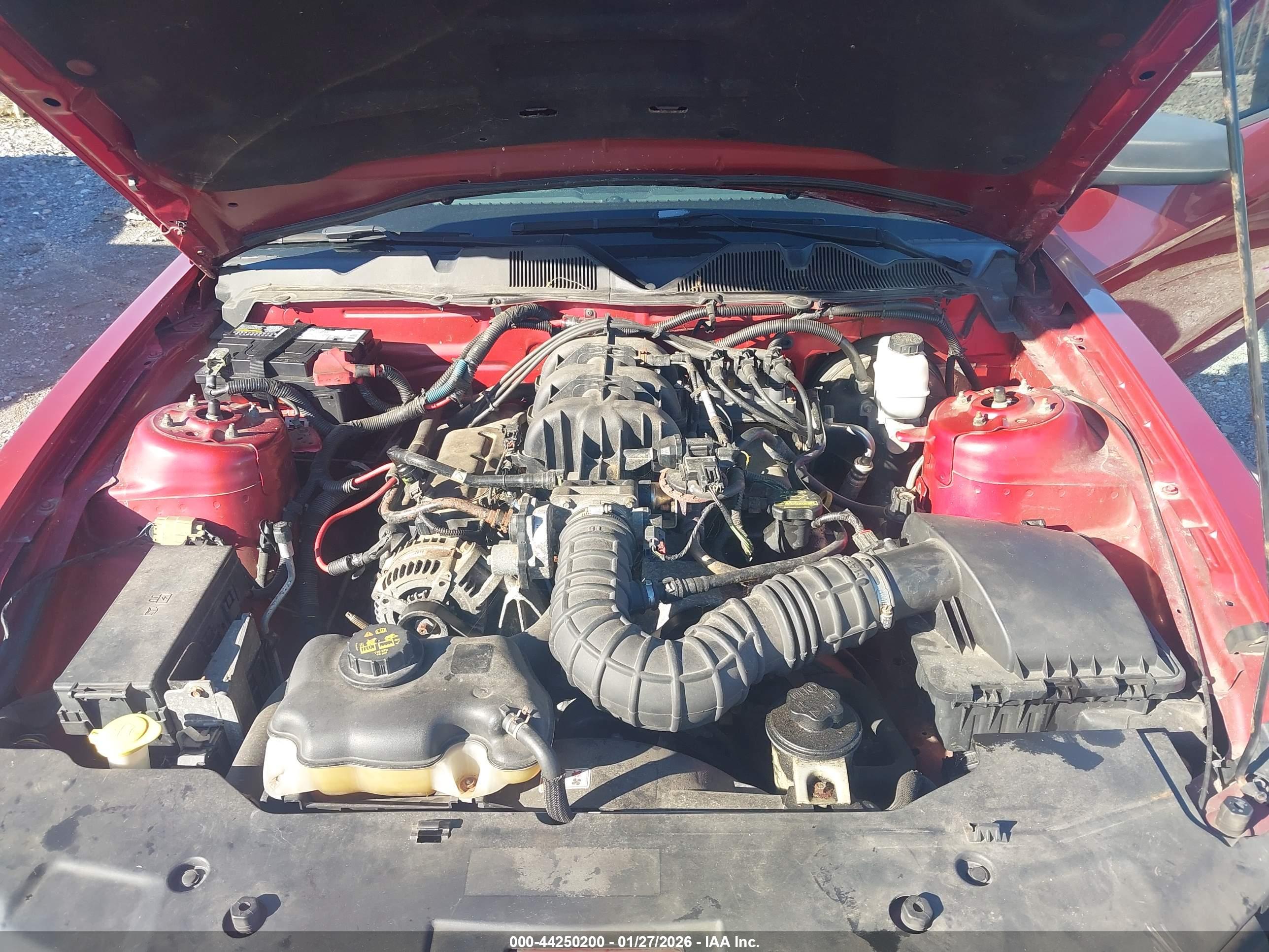 FORD MUSTANG image 10