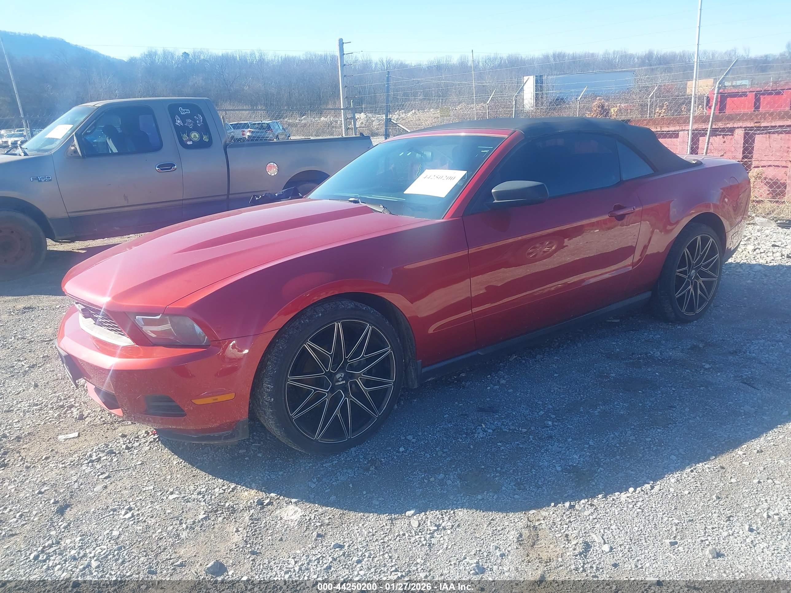 FORD MUSTANG image 2