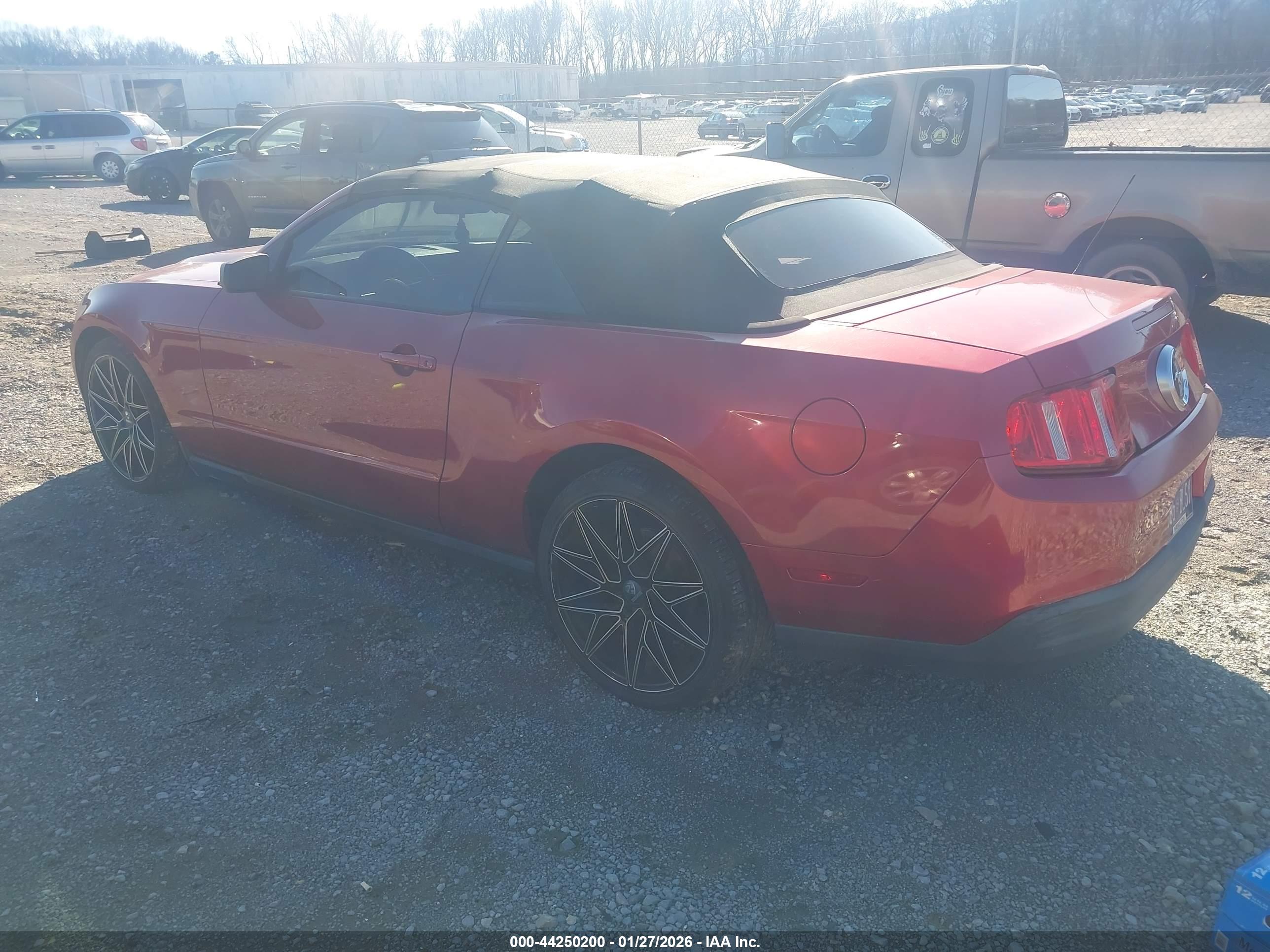 FORD MUSTANG image 3