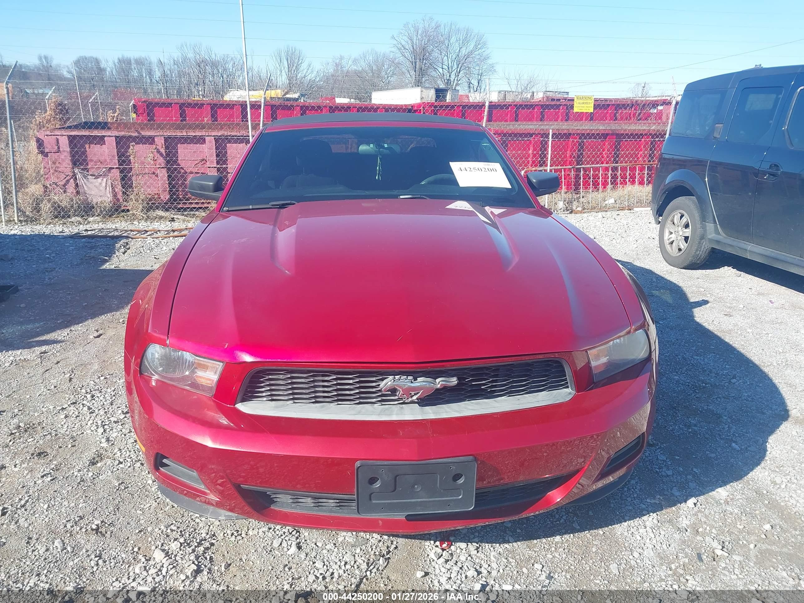 FORD MUSTANG image 6