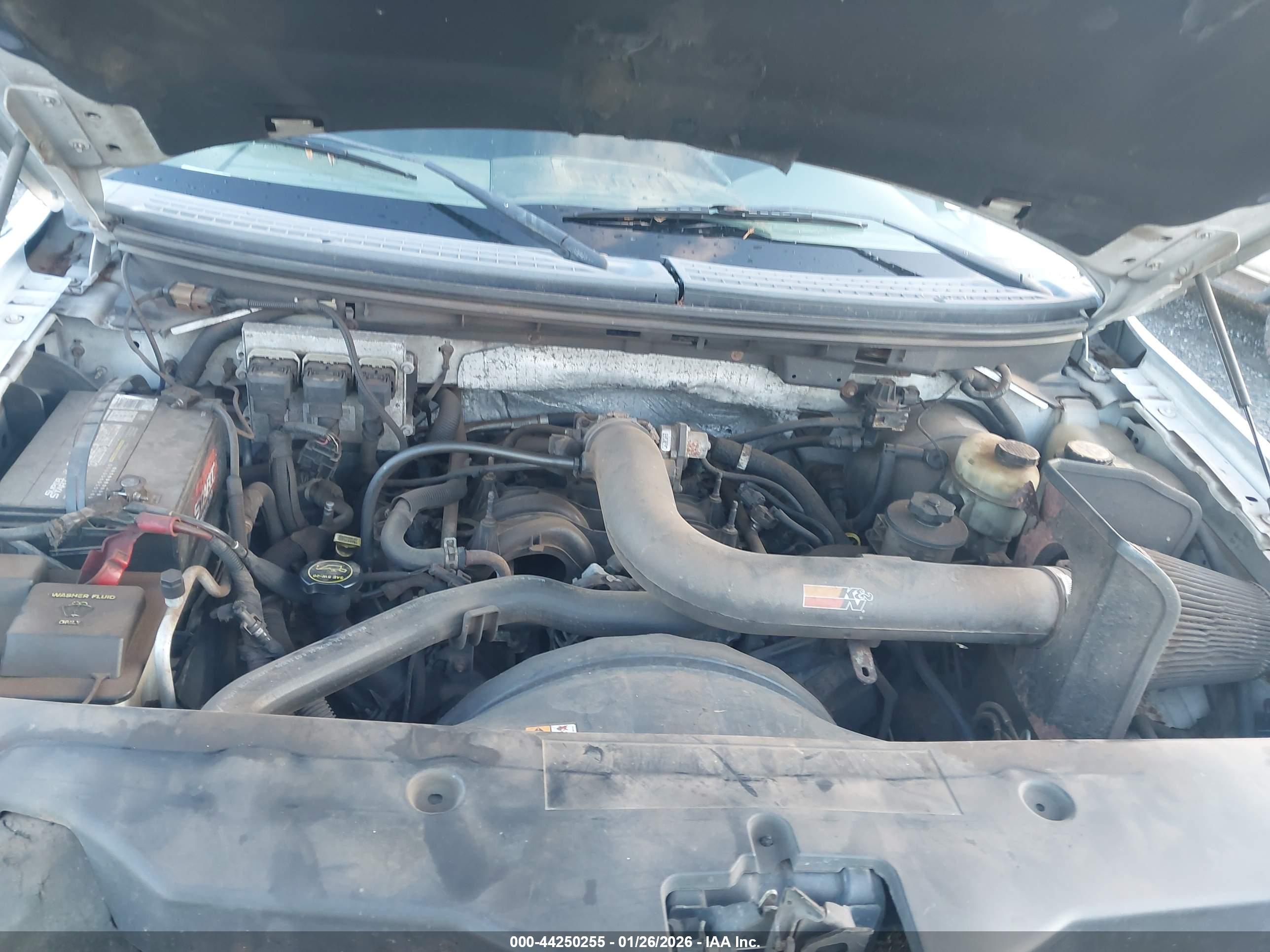 FORD F-150 image 10