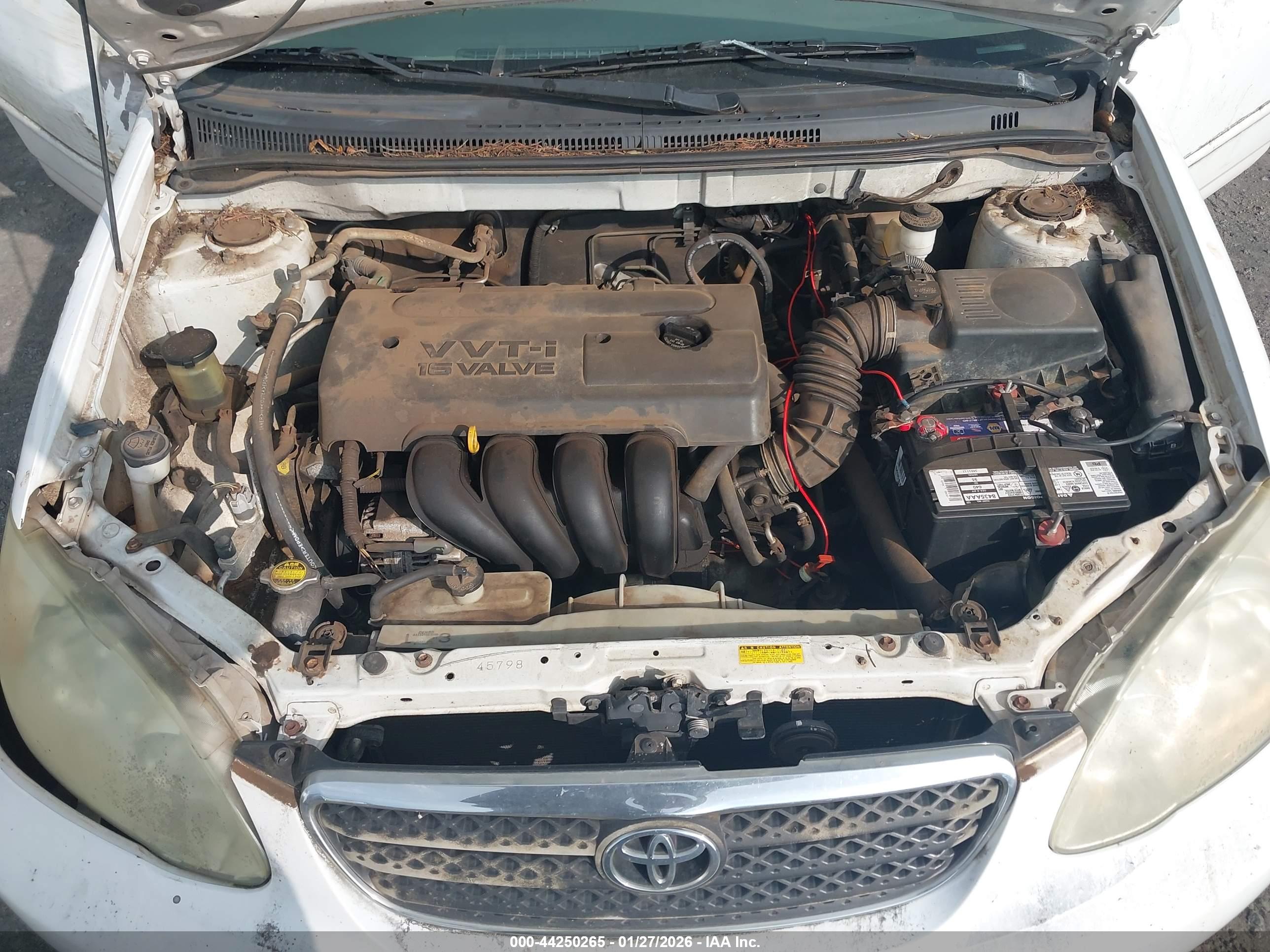 TOYOTA COROLLA image 10