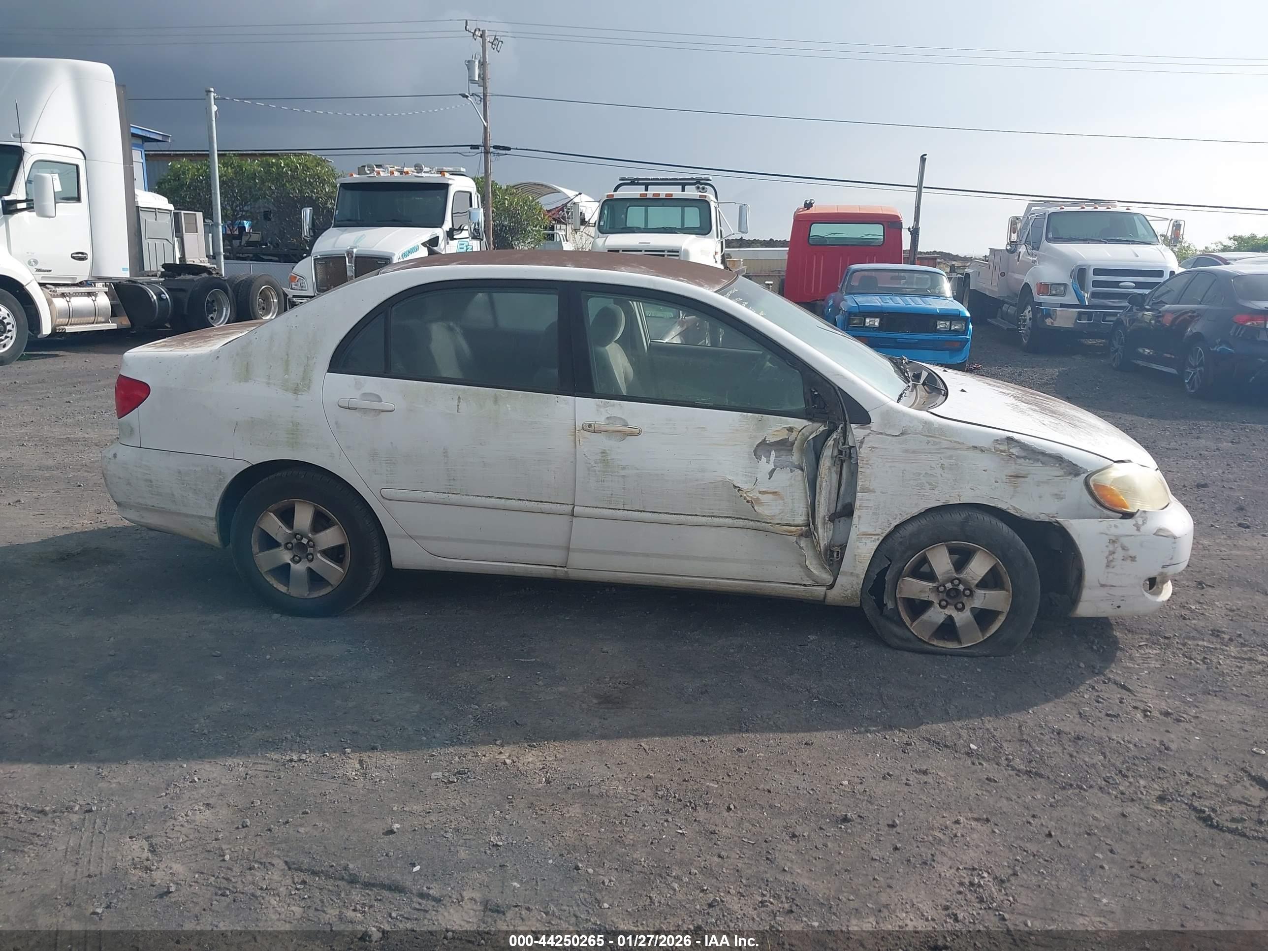 TOYOTA COROLLA image 6