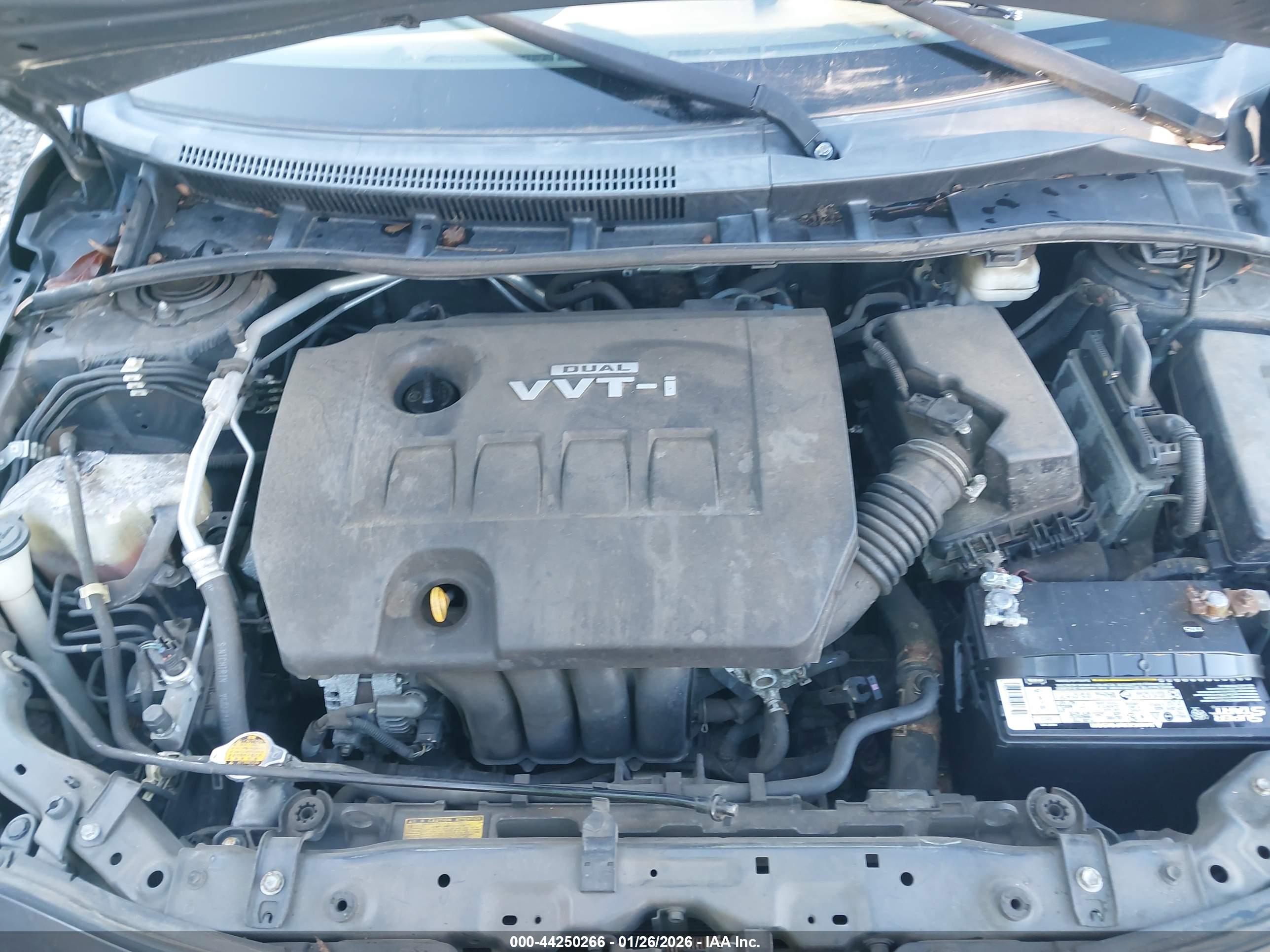 TOYOTA COROLLA image 10