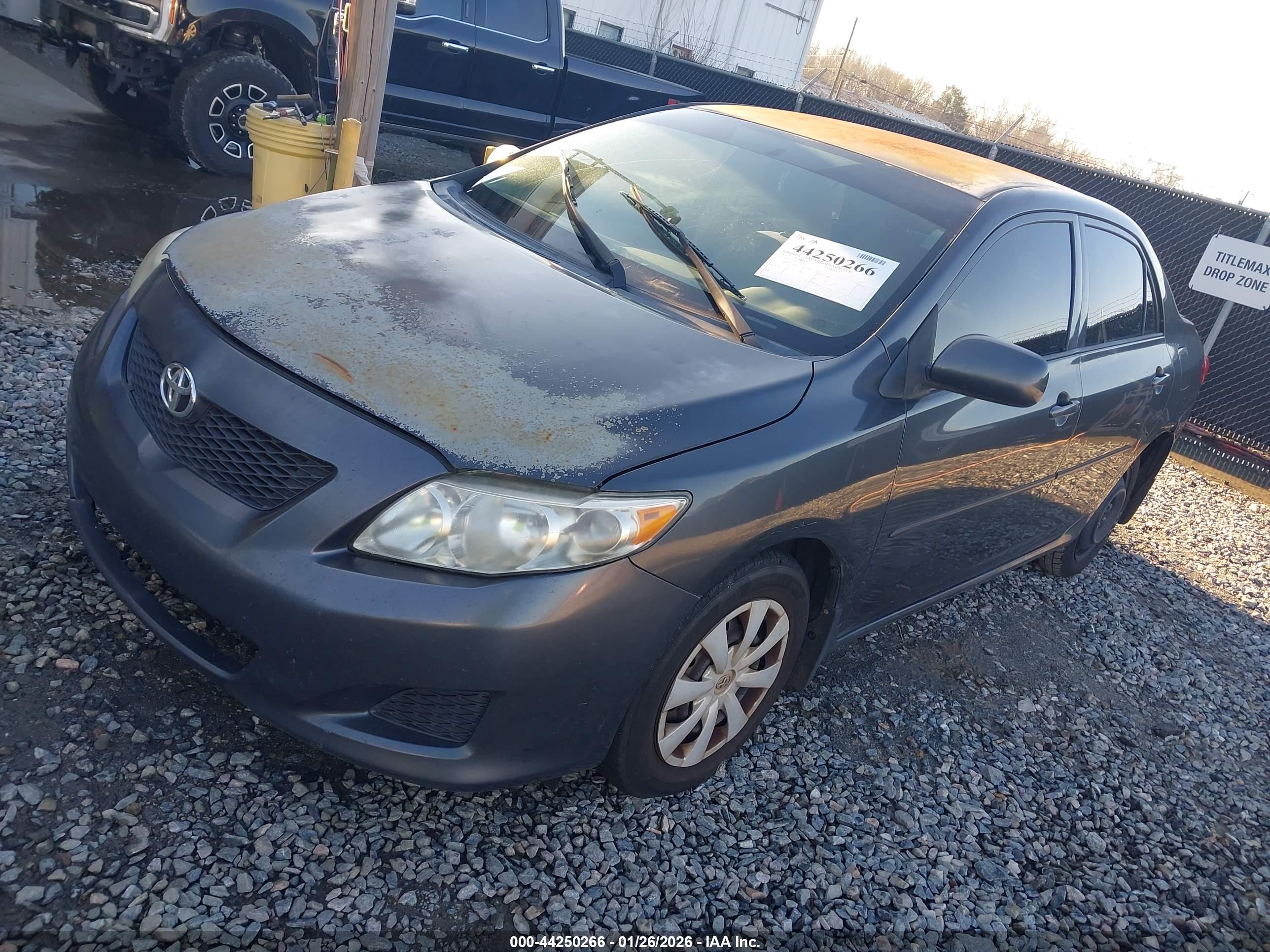 TOYOTA COROLLA image 2