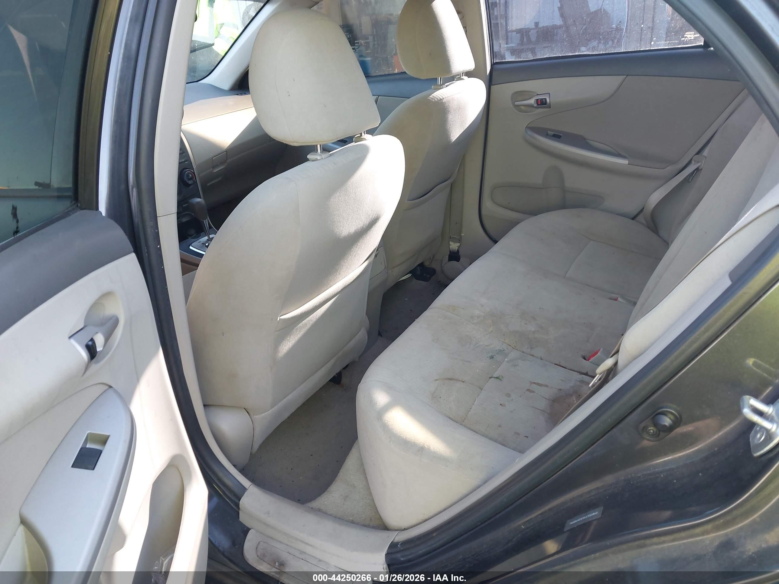 TOYOTA COROLLA image 8