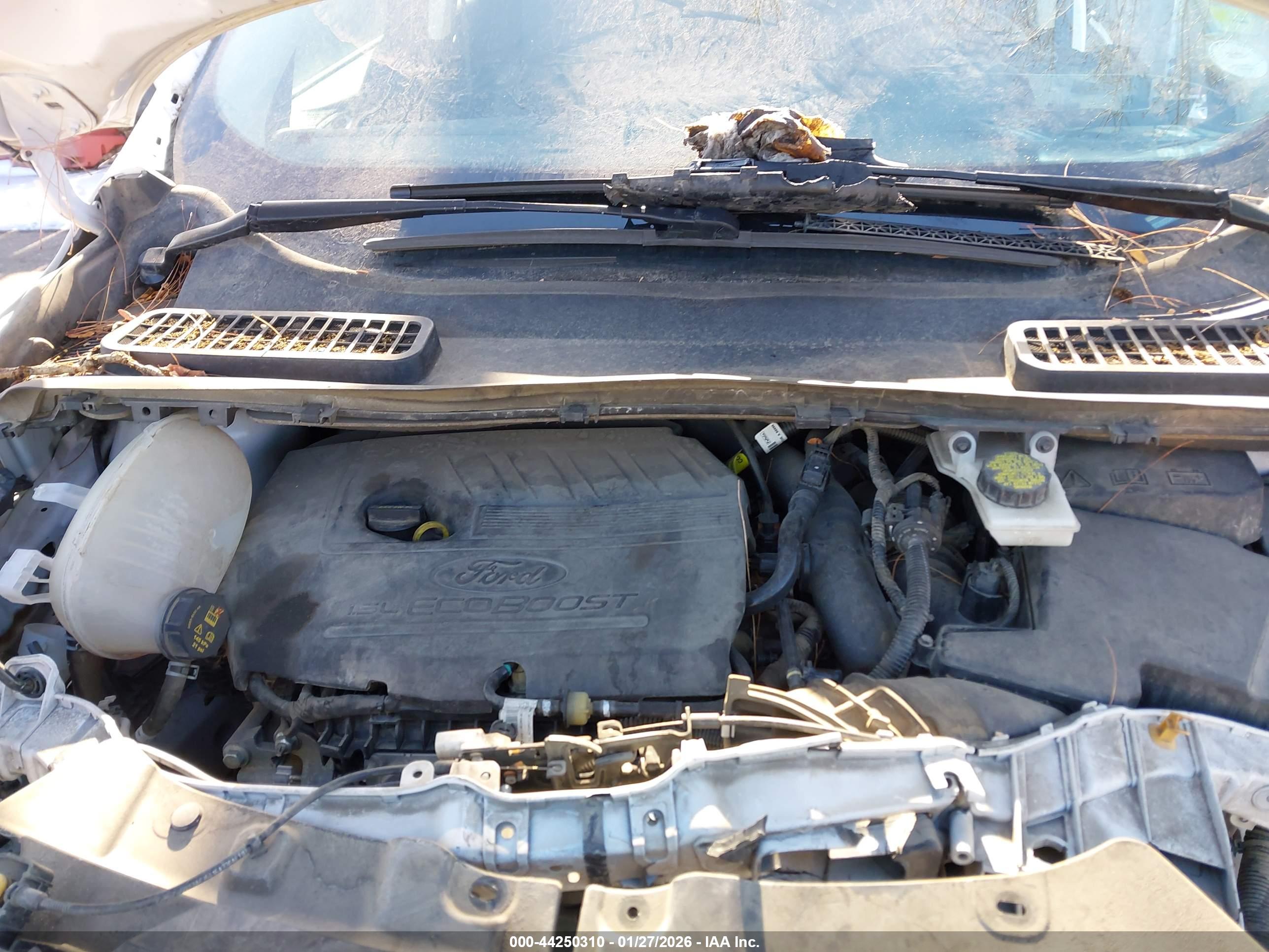 FORD ESCAPE image 10