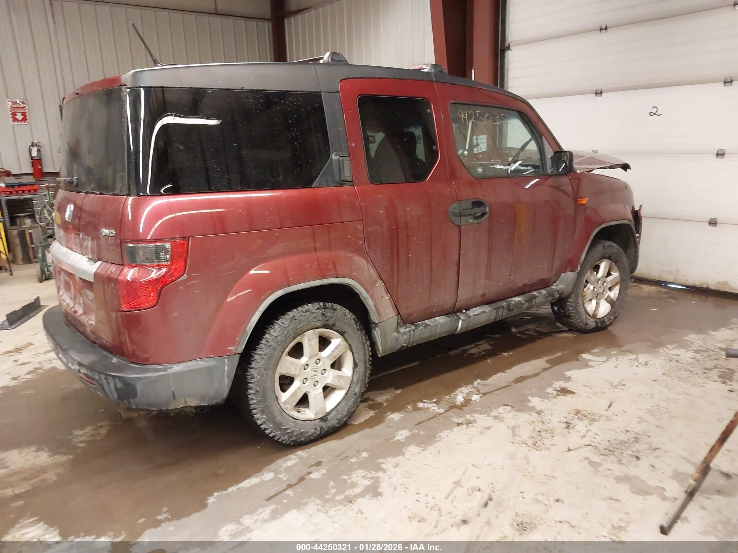 HONDA ELEMENT image 4
