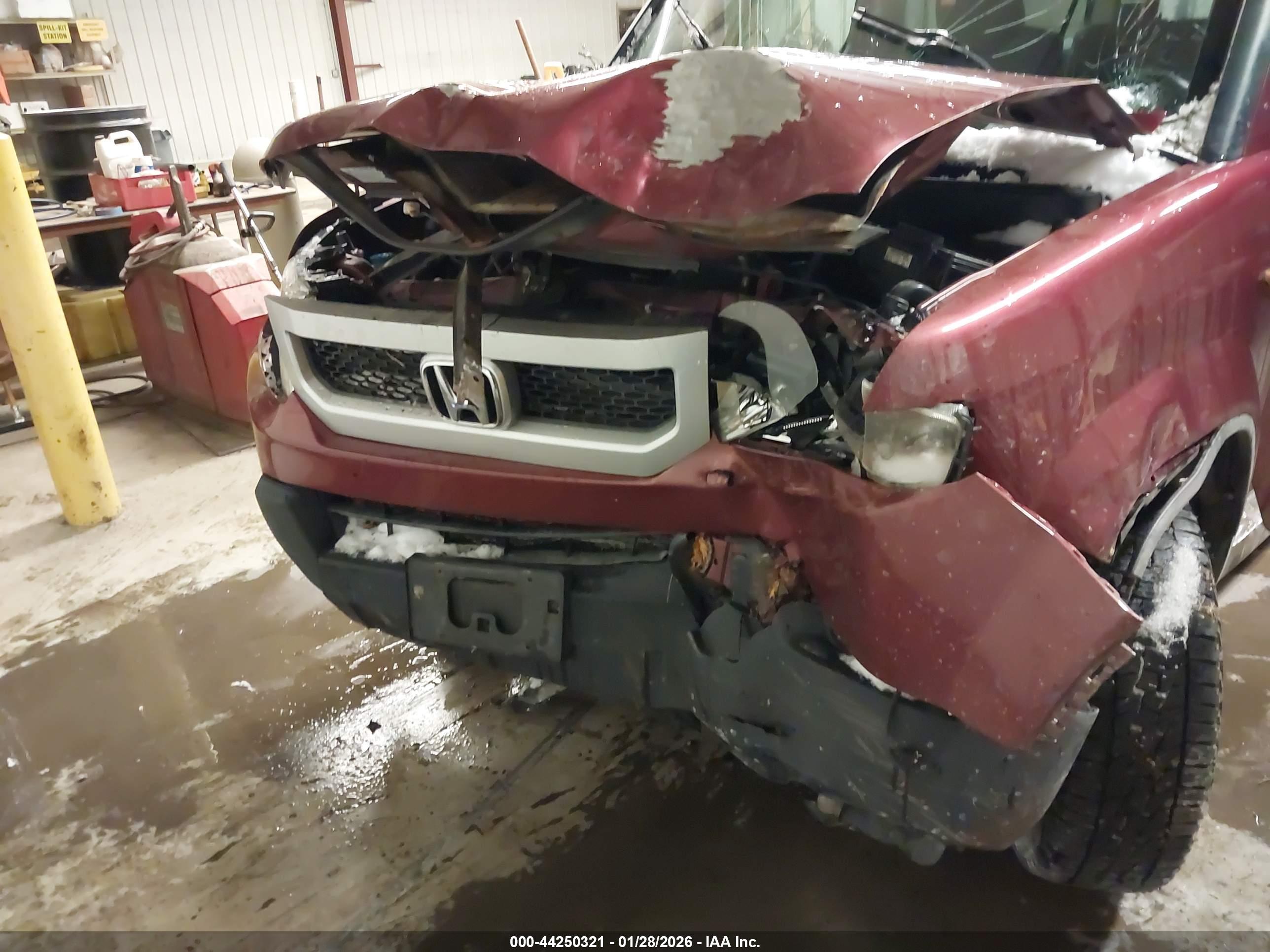 HONDA ELEMENT image 6