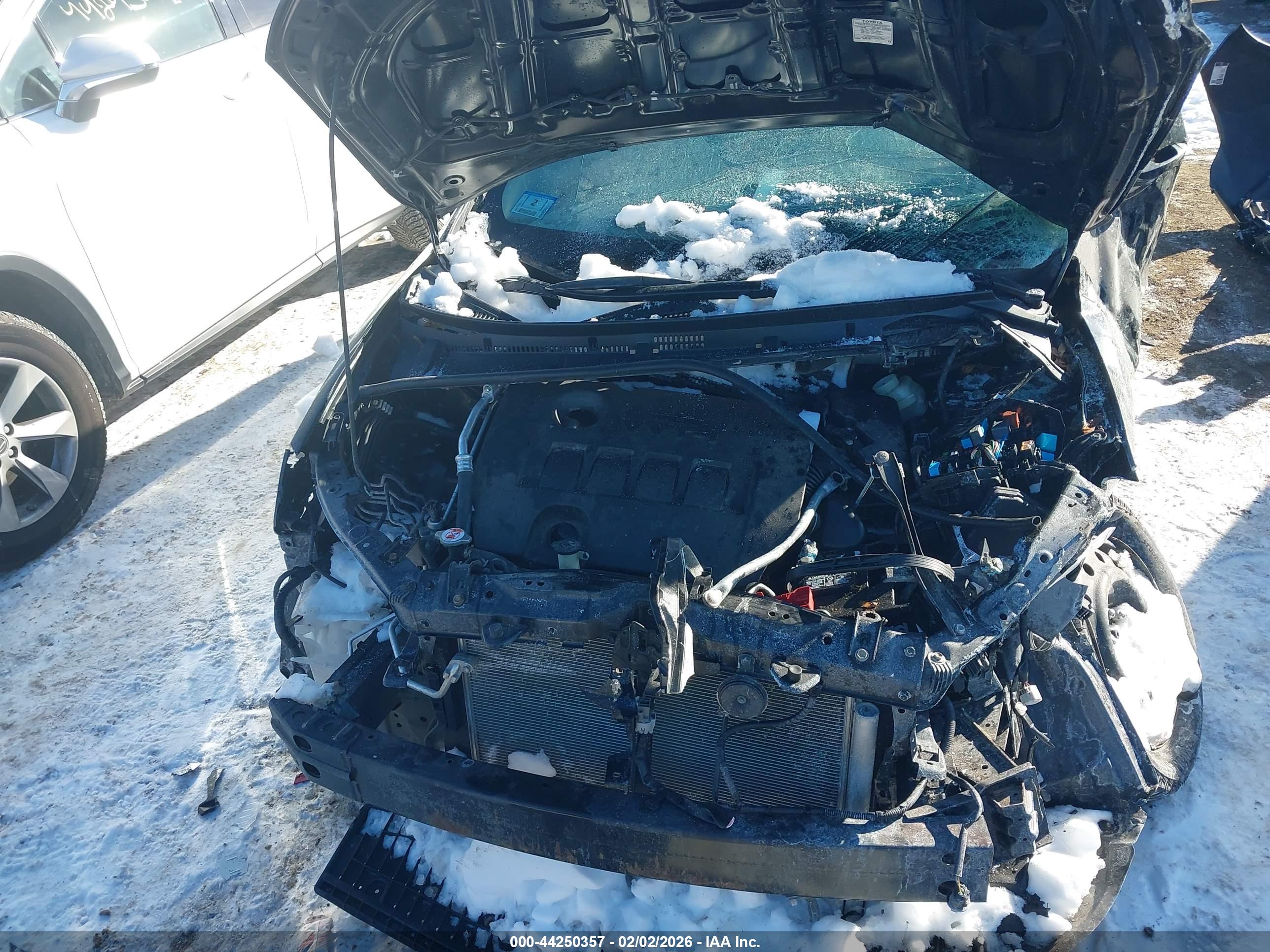 TOYOTA COROLLA image 10