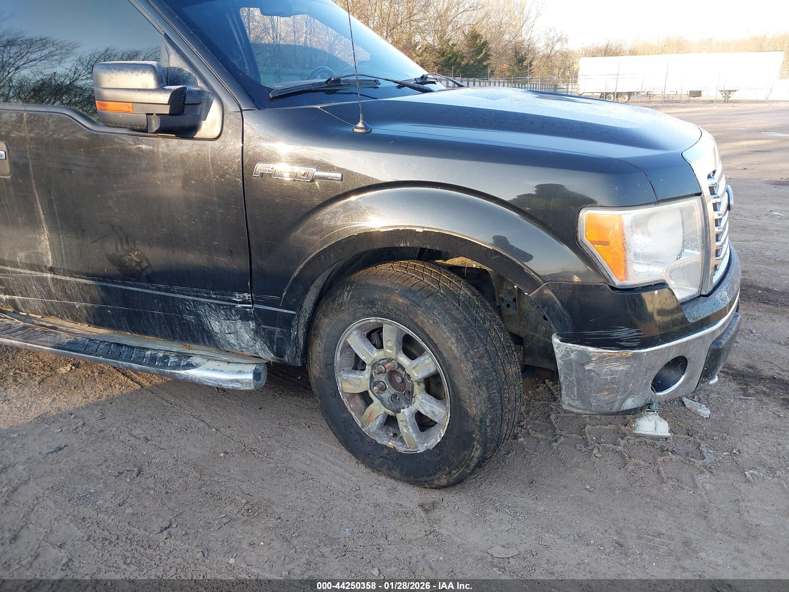 FORD F-150 image 6