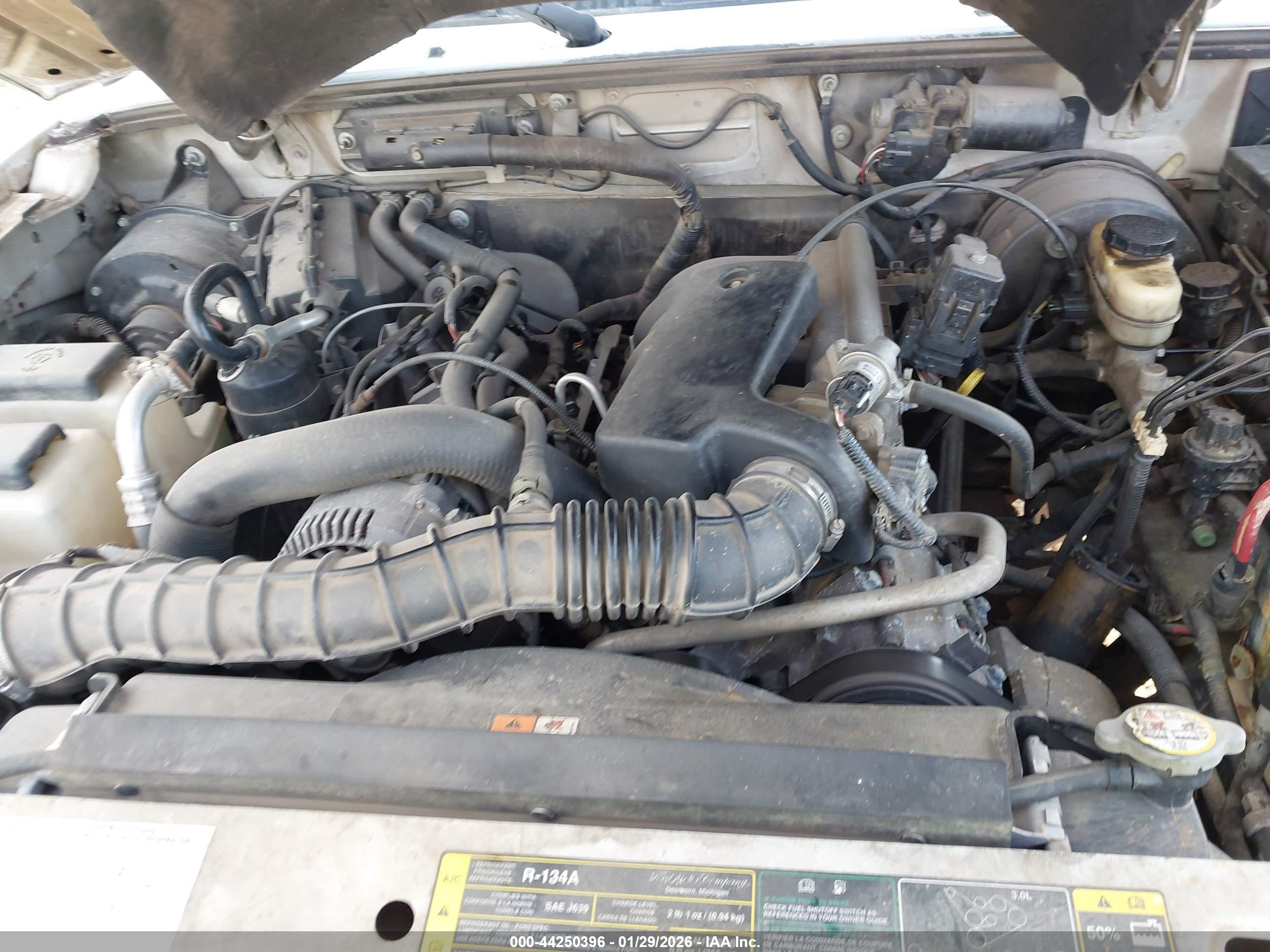 FORD RANGER image 10