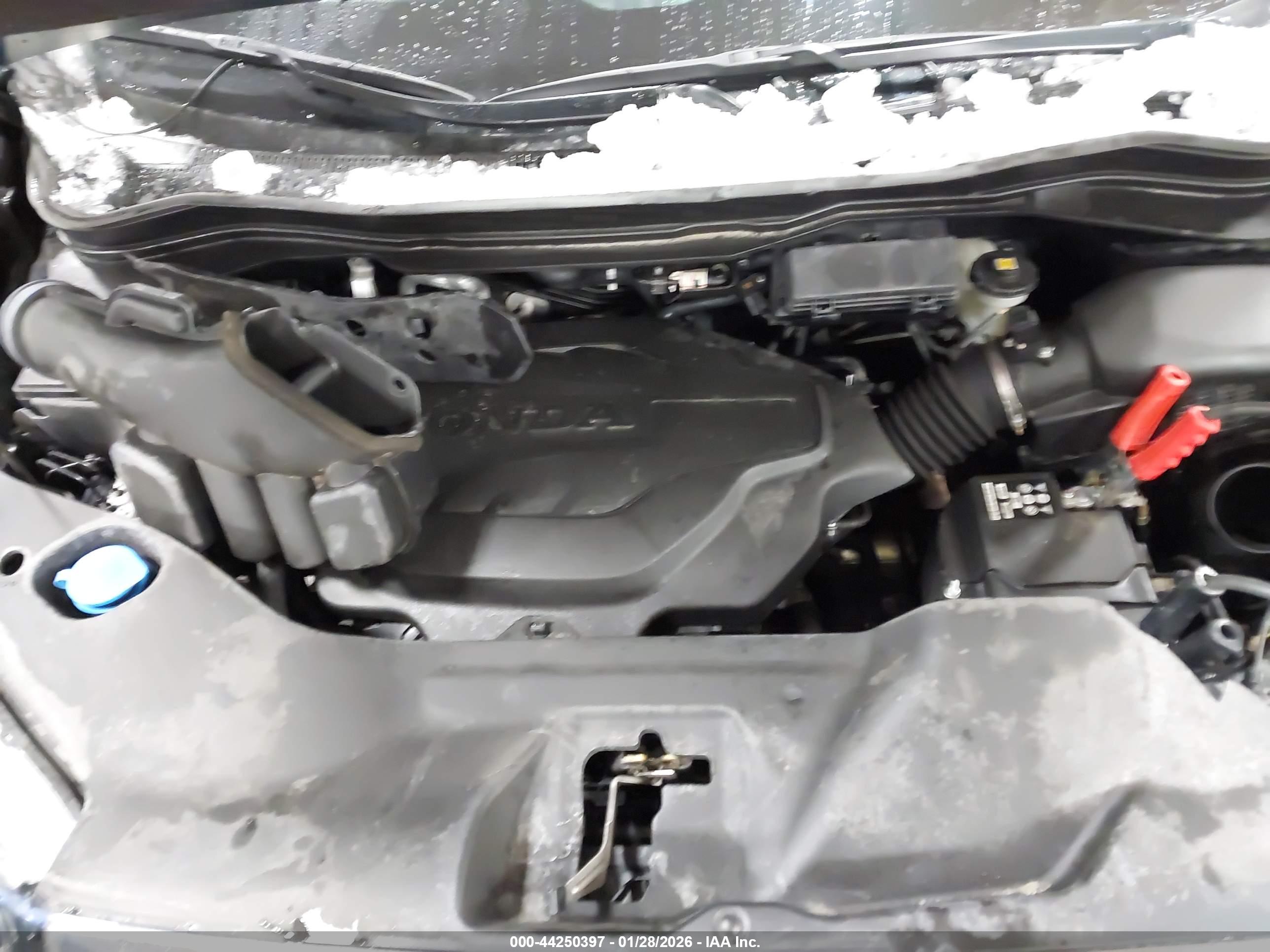 HONDA PASSPORT image 10