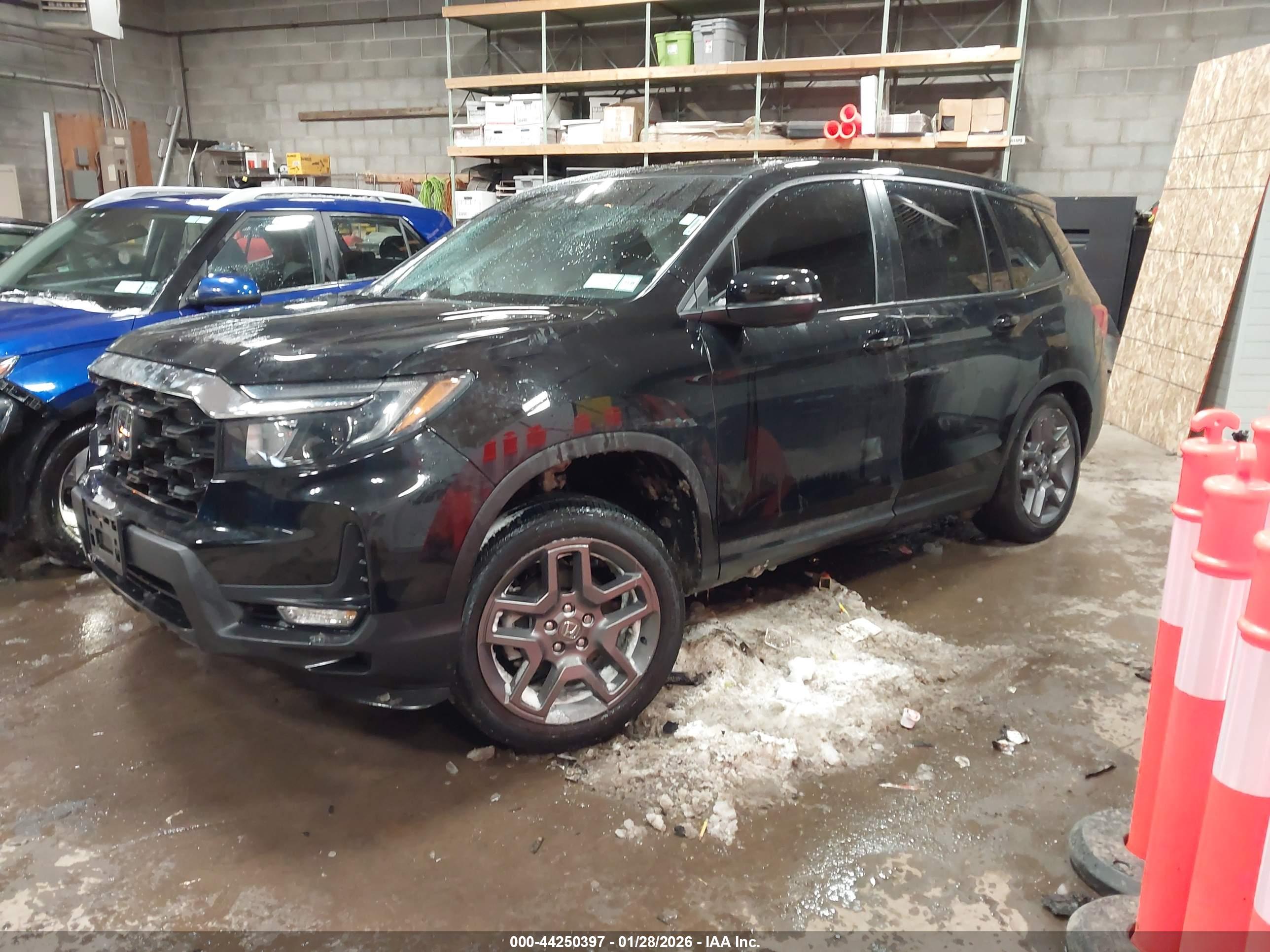 HONDA PASSPORT image 2