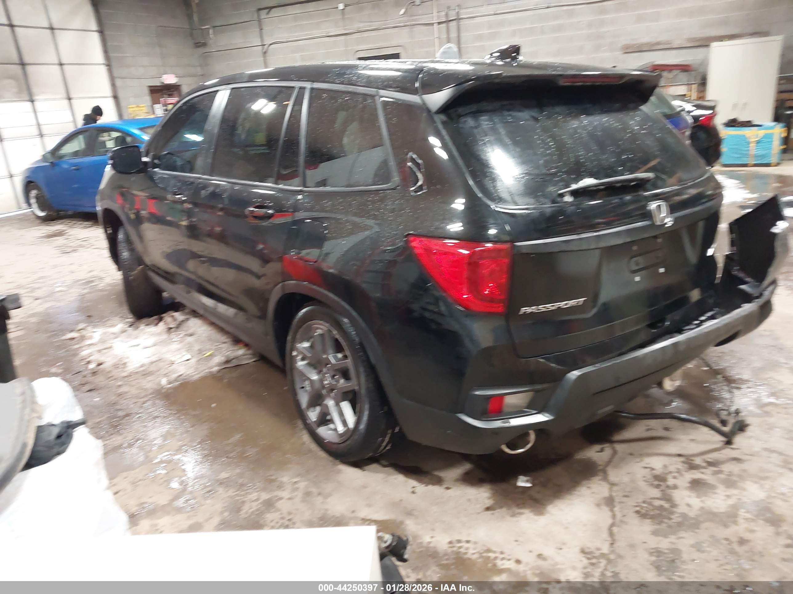HONDA PASSPORT image 3