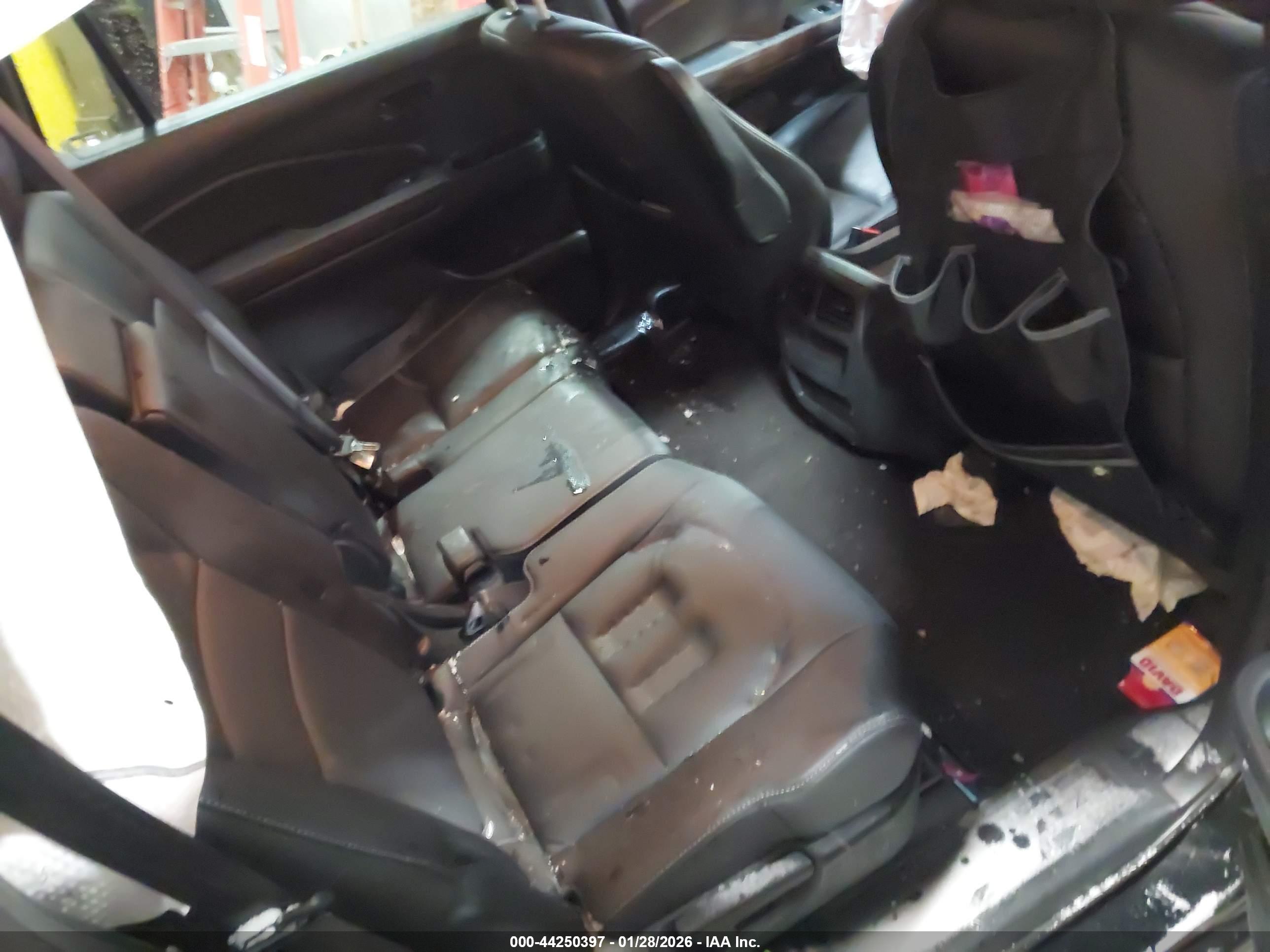 HONDA PASSPORT image 8