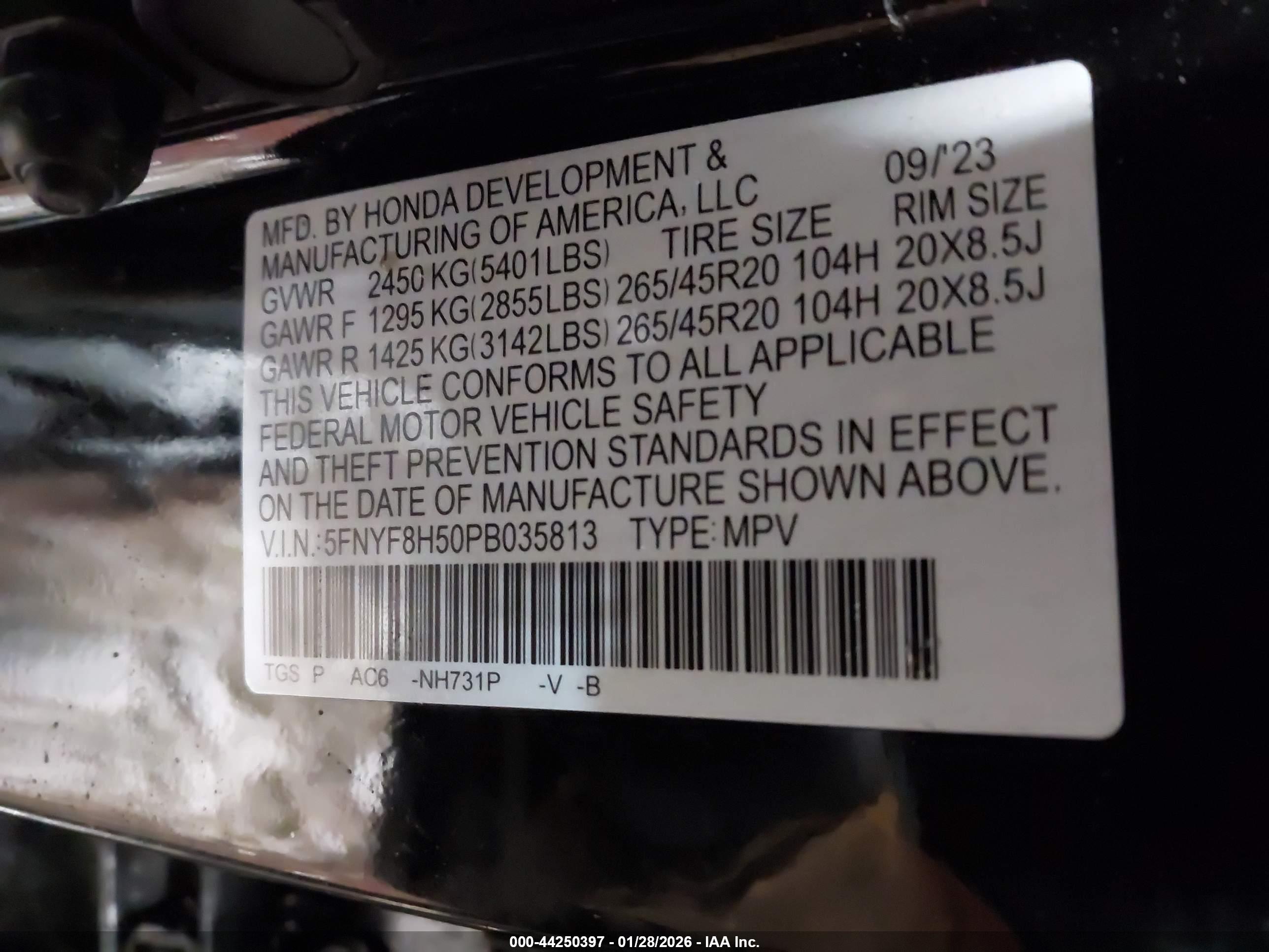HONDA PASSPORT image 9