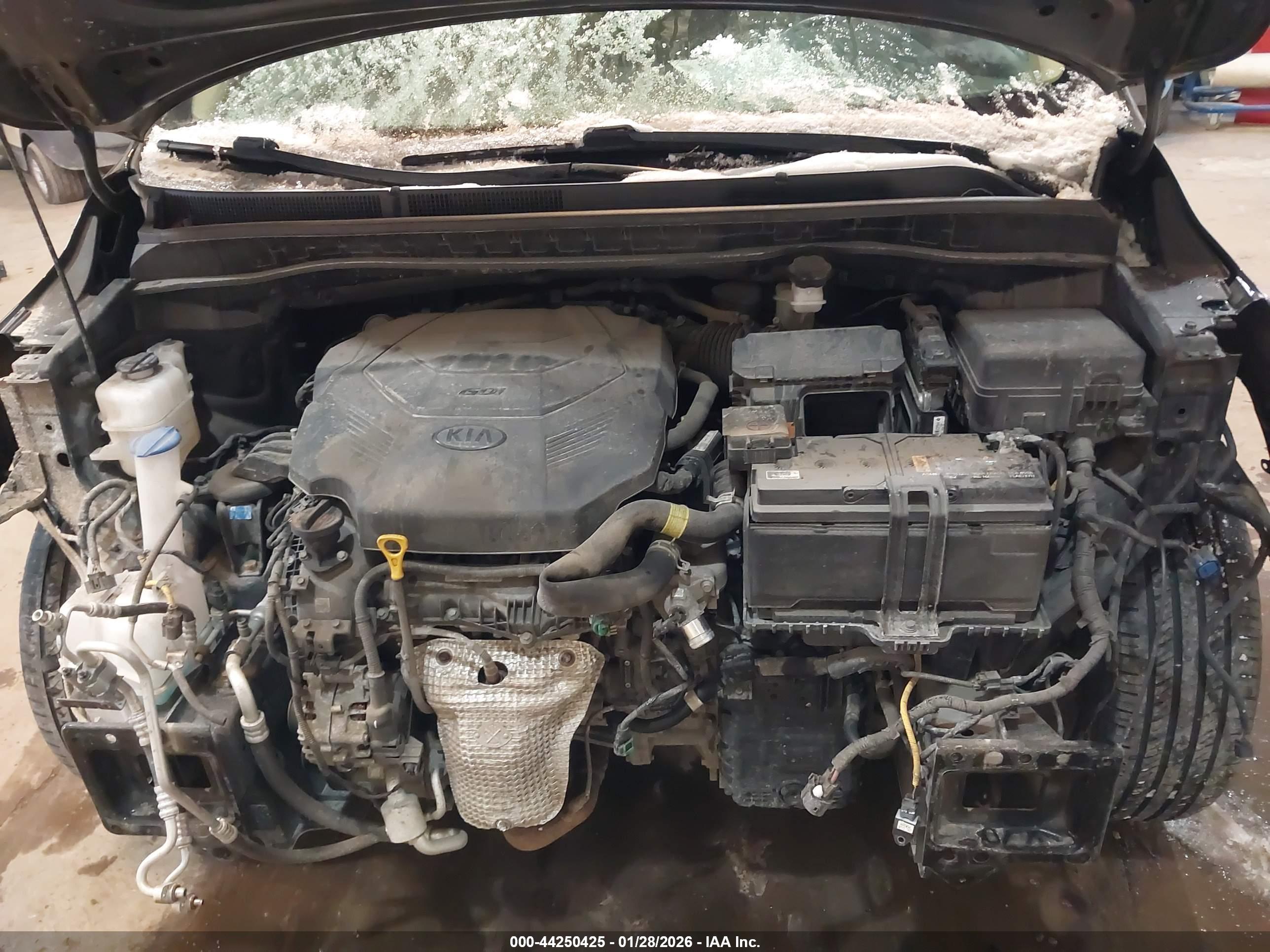 KIA SEDONA image 10