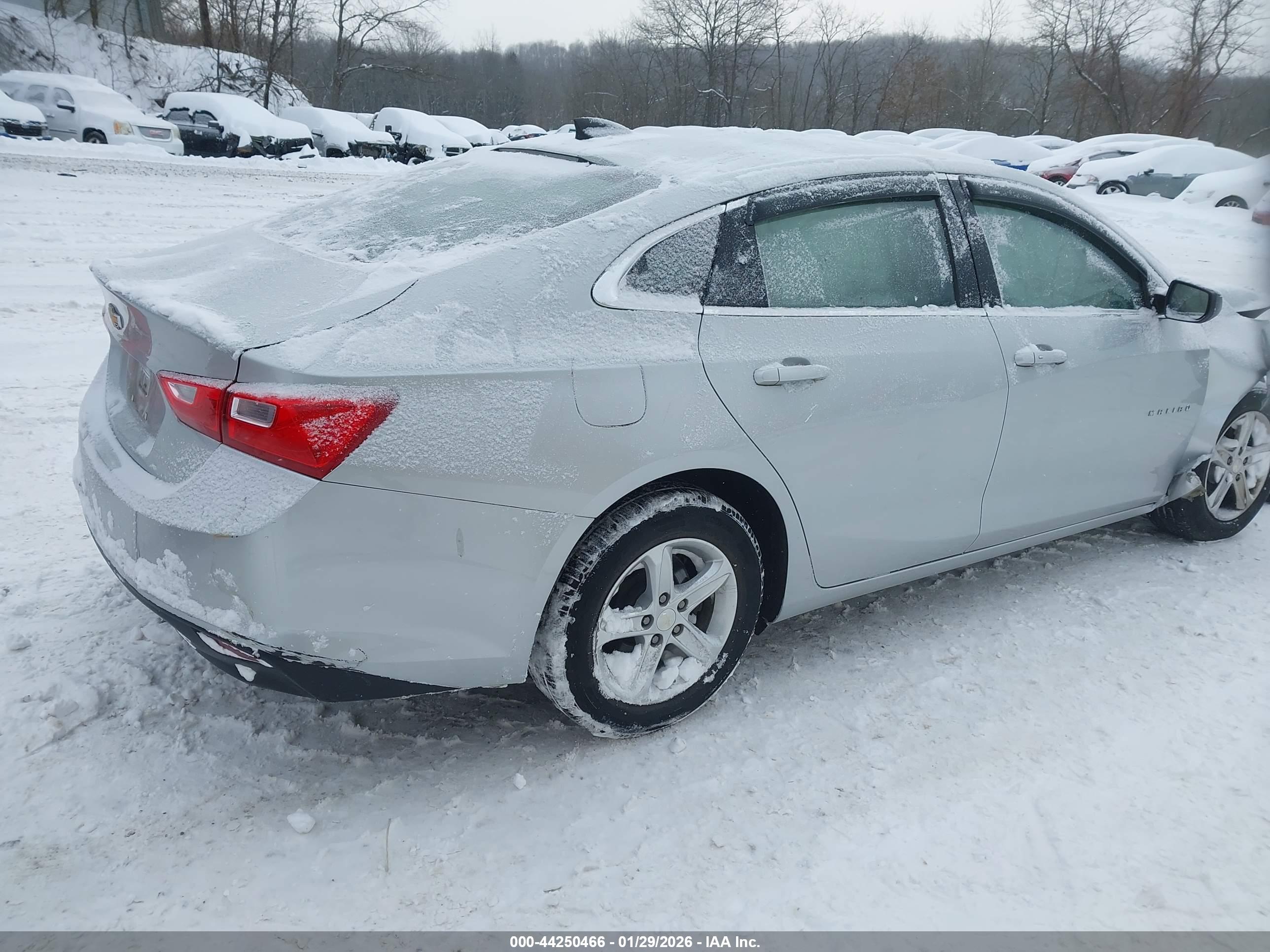 CHEVROLET MALIBU image 4
