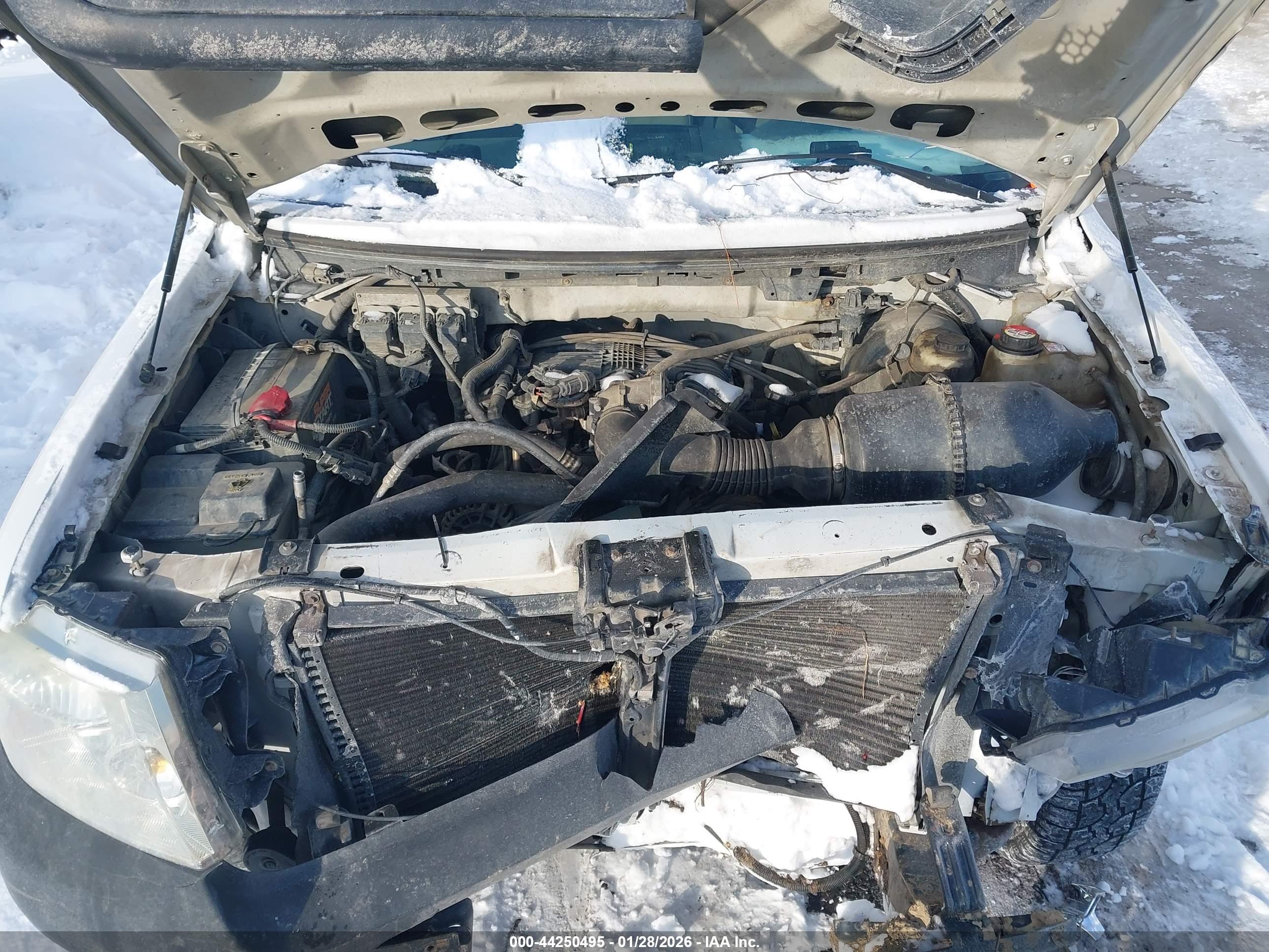 FORD F-150 image 10