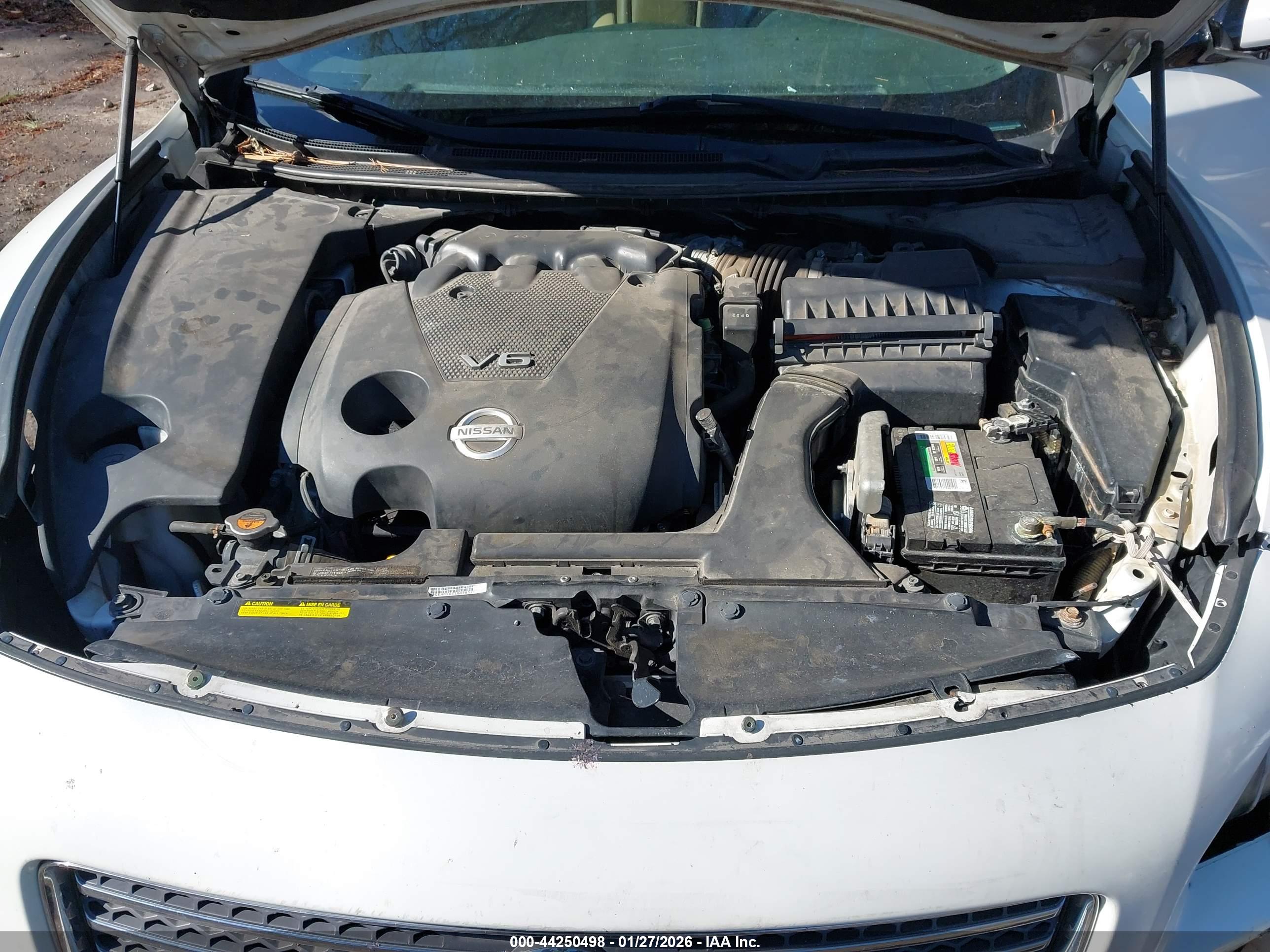 NISSAN MAXIMA image 10