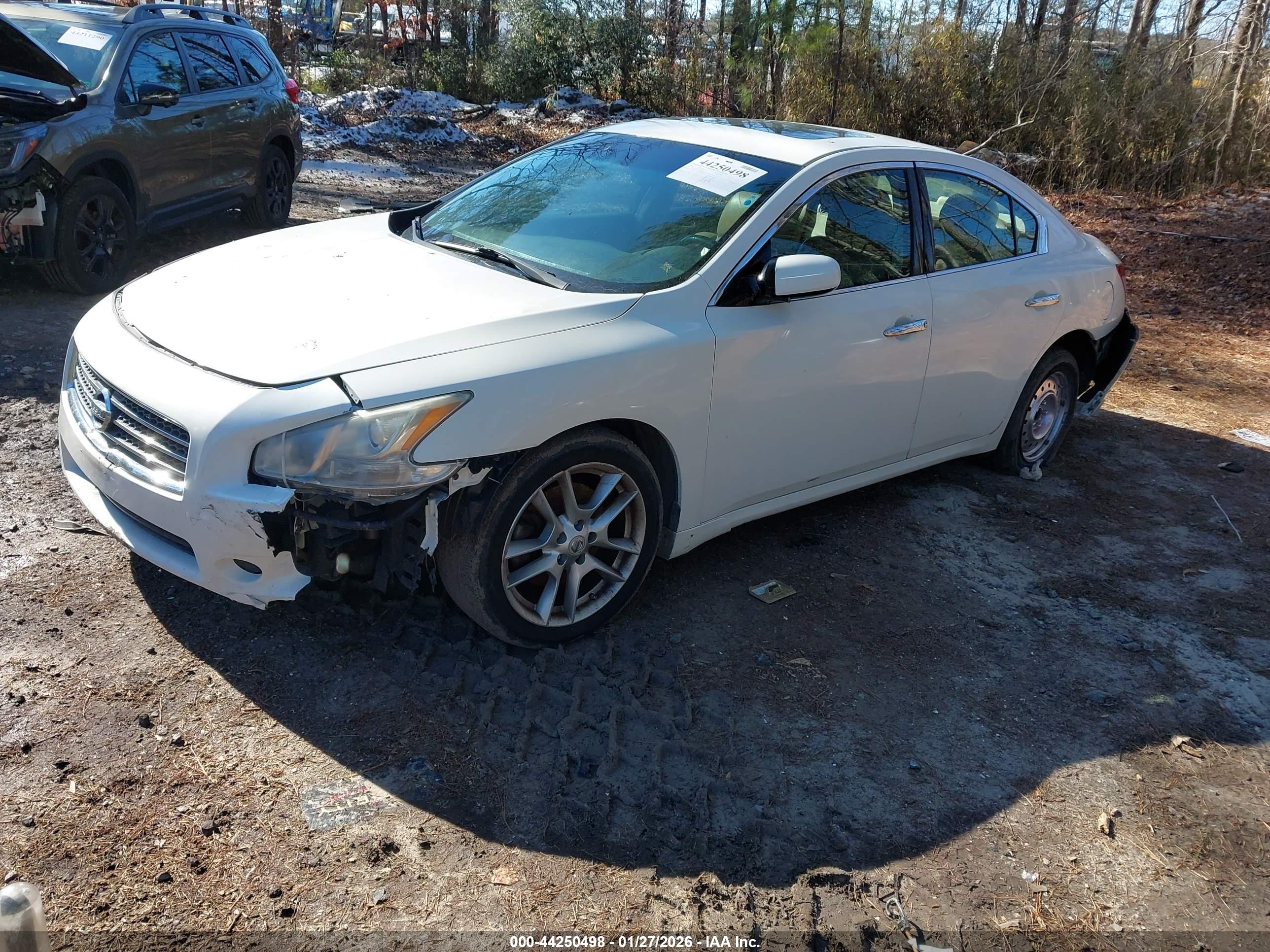 NISSAN MAXIMA image 2