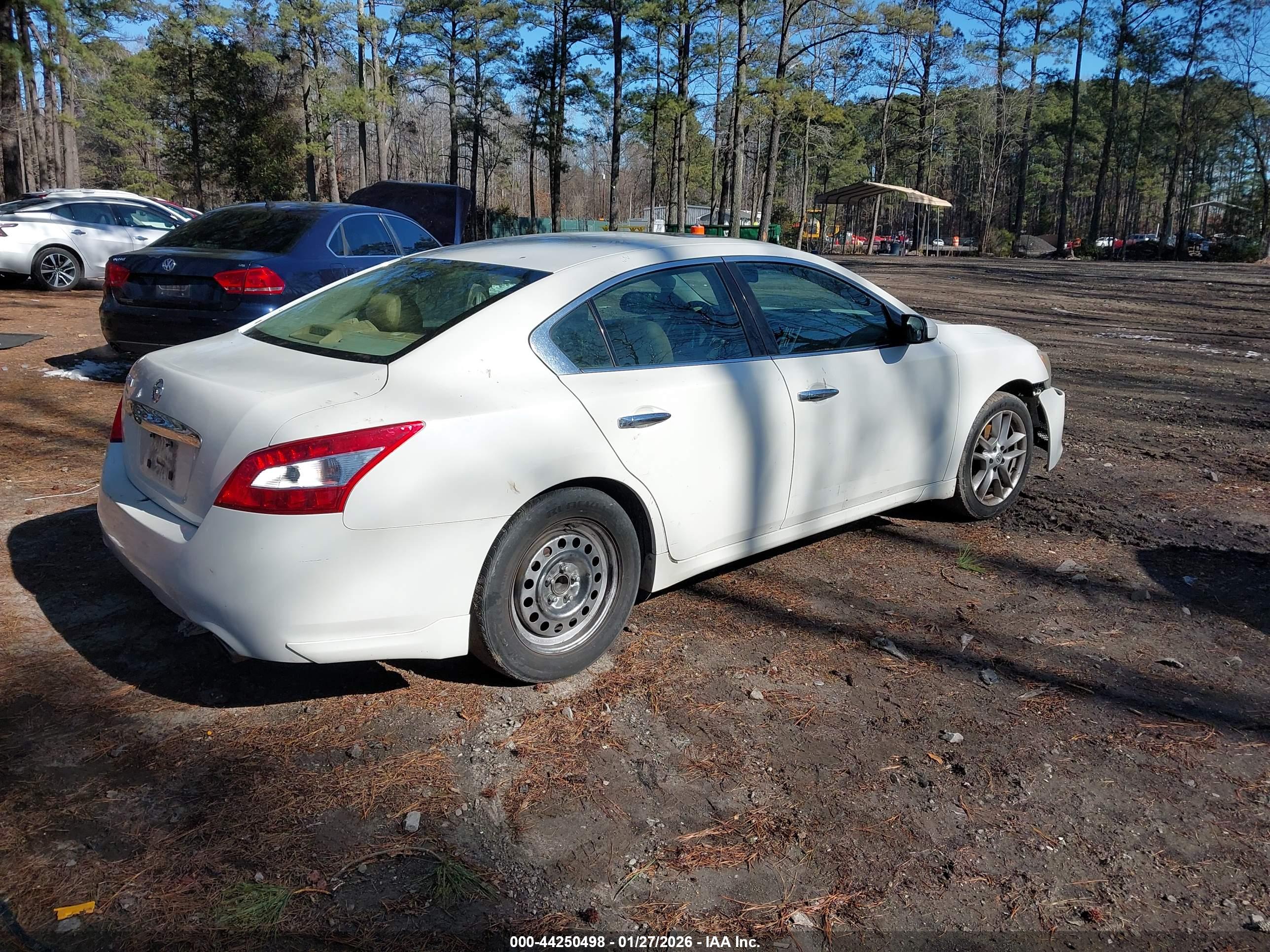 NISSAN MAXIMA image 4