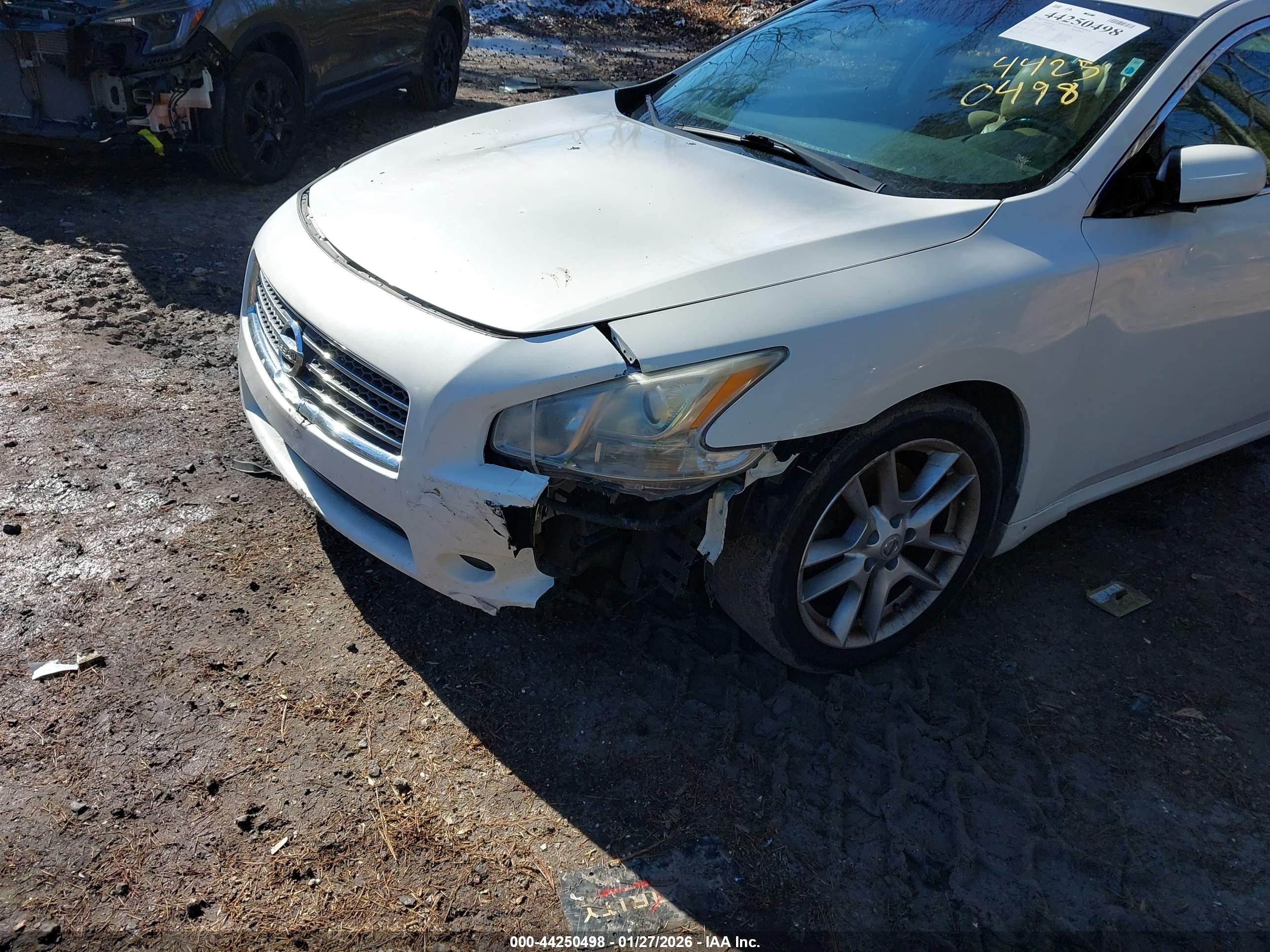 NISSAN MAXIMA image 6