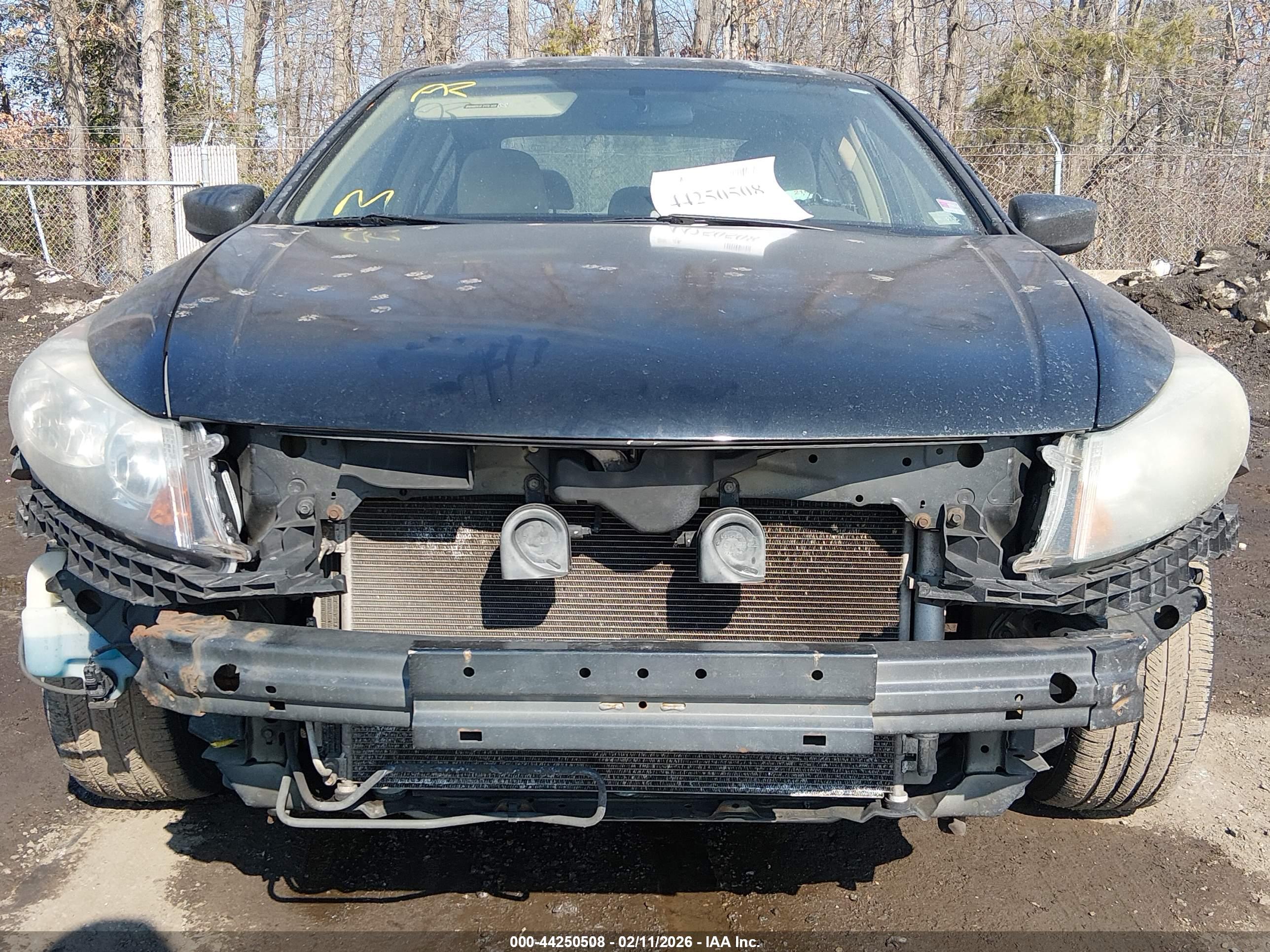 HONDA ACCORD image 6