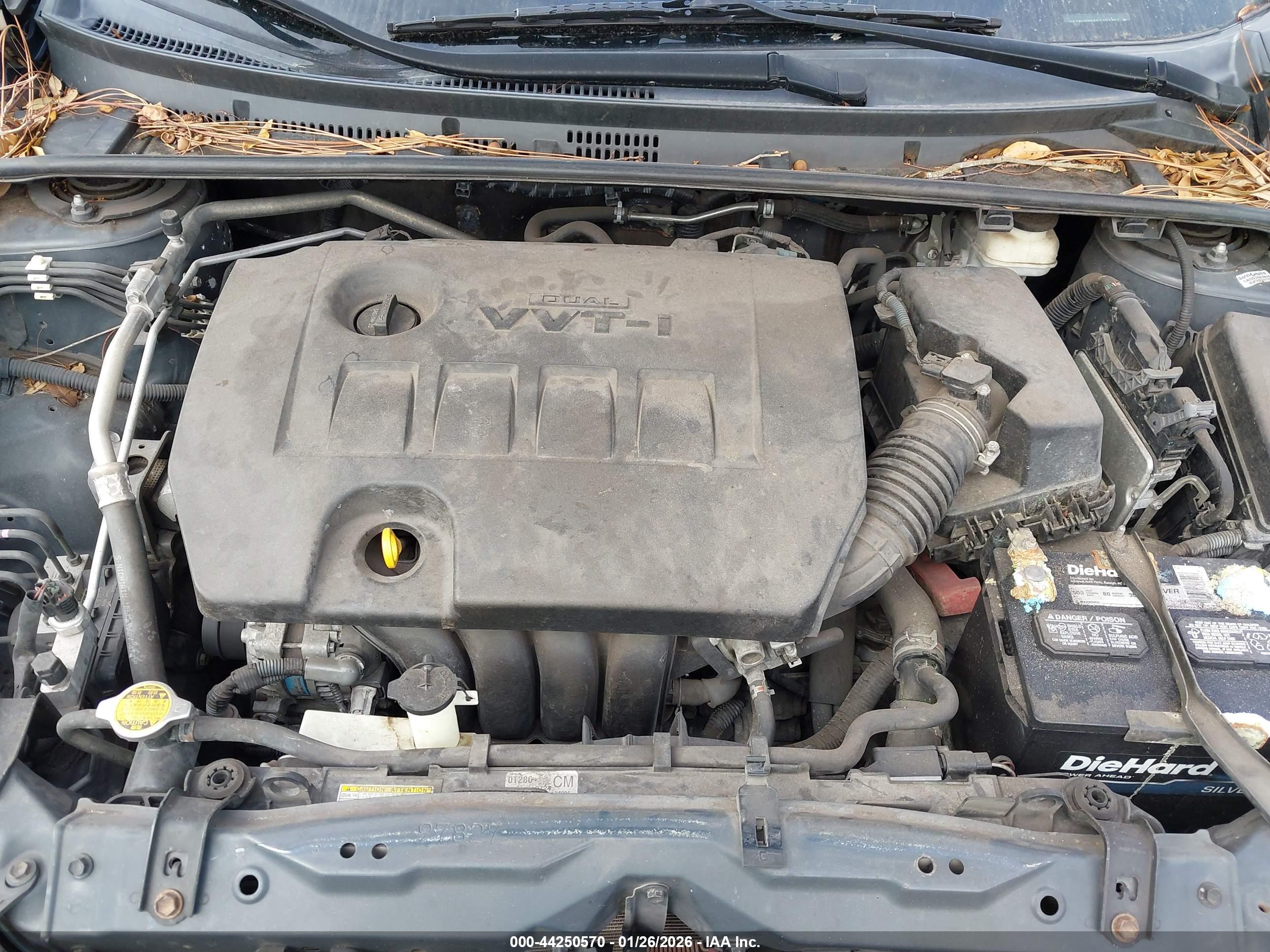 TOYOTA COROLLA image 10