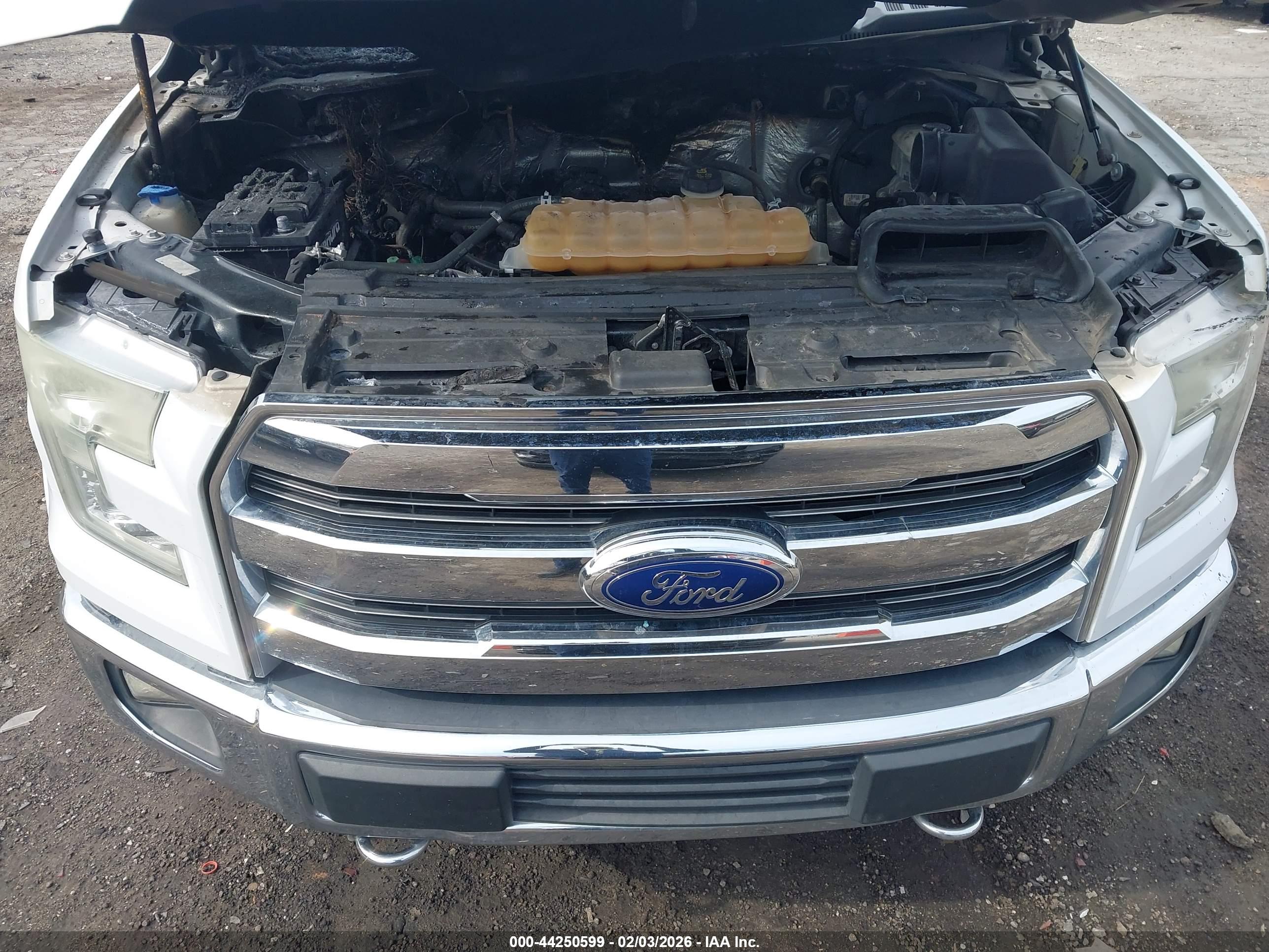FORD F-150 image 10