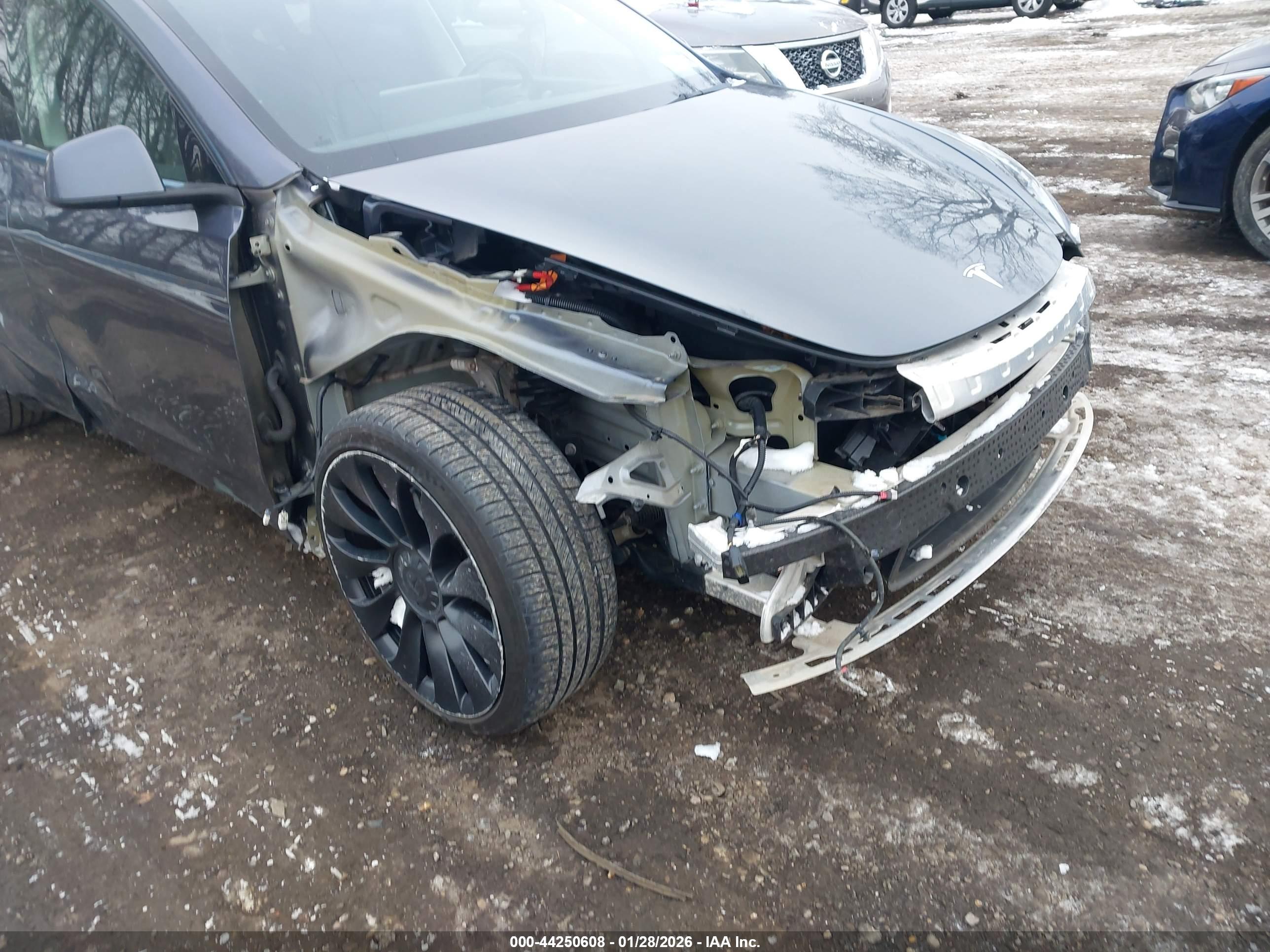 TESLA MODEL image 6