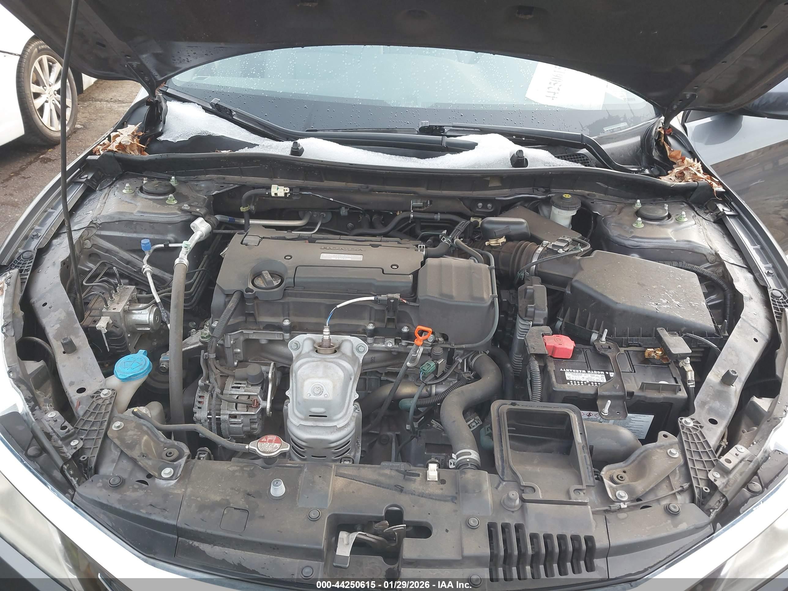 HONDA ACCORD image 10