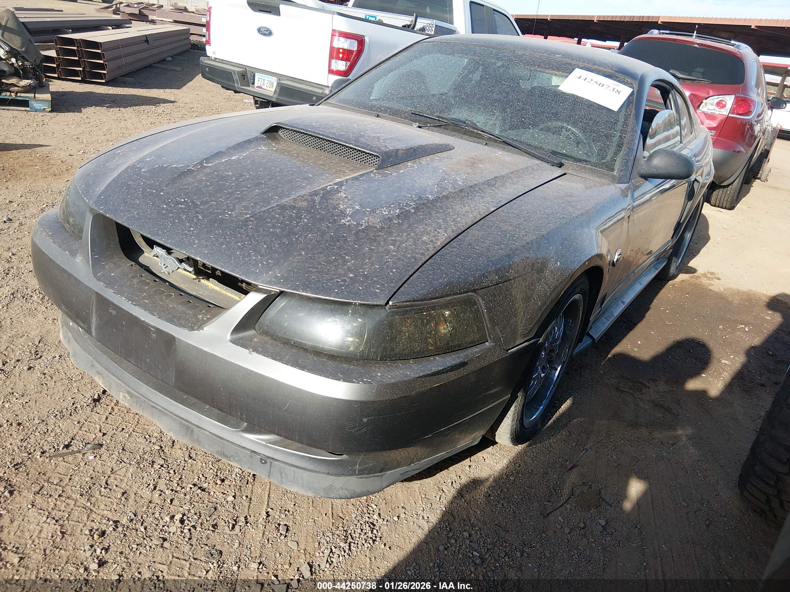 FORD MUSTANG image 2