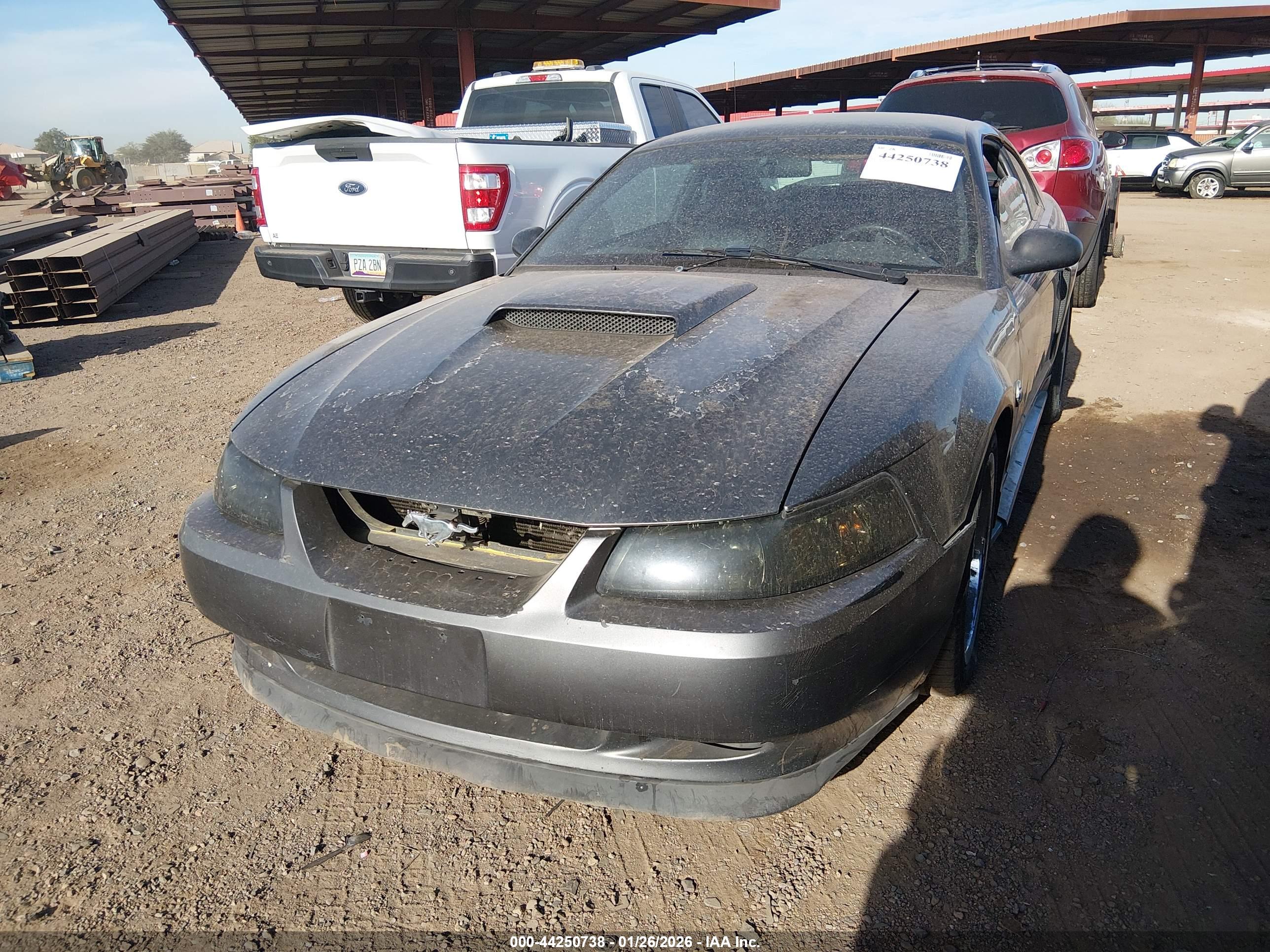 FORD MUSTANG image 6