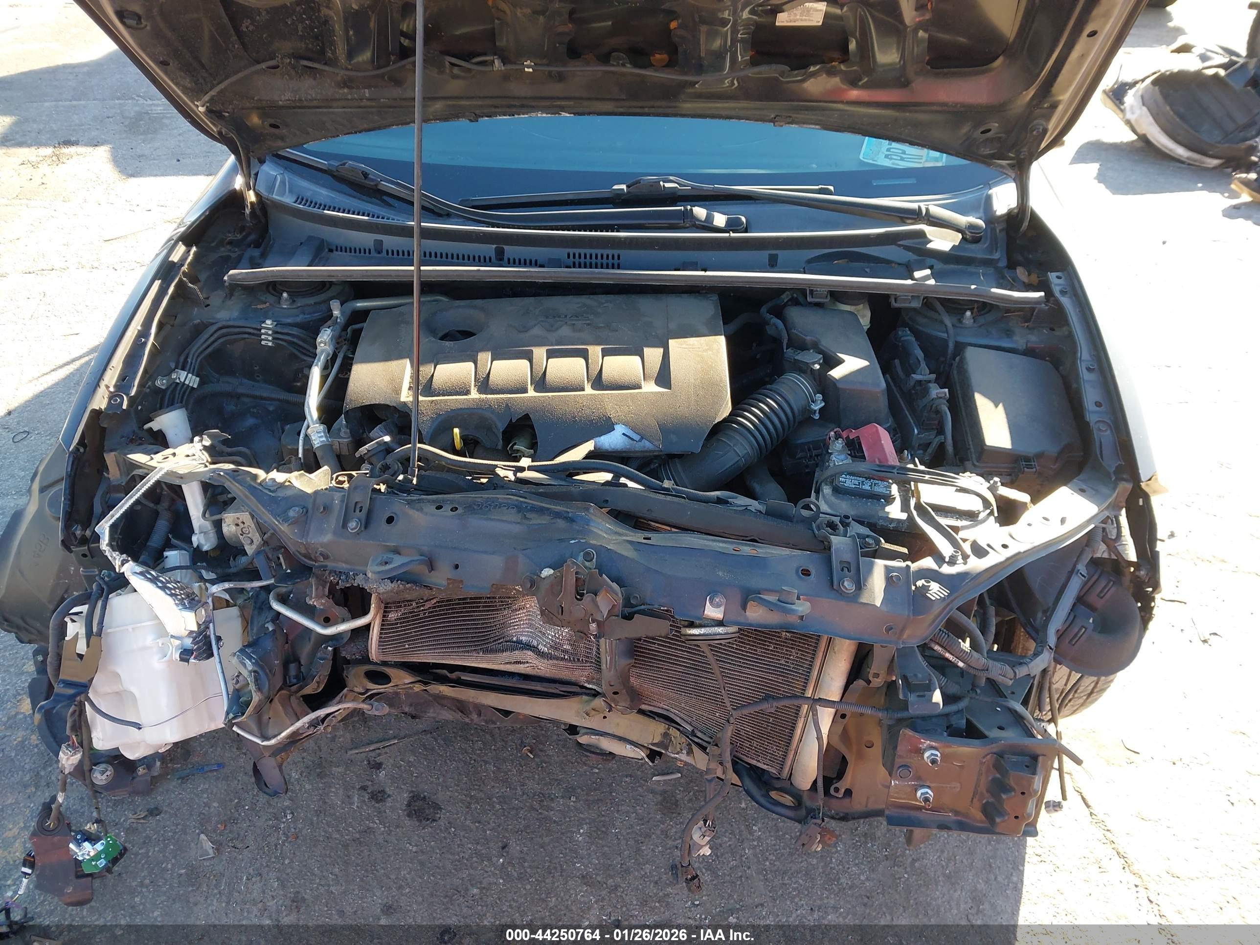 TOYOTA COROLLA image 10