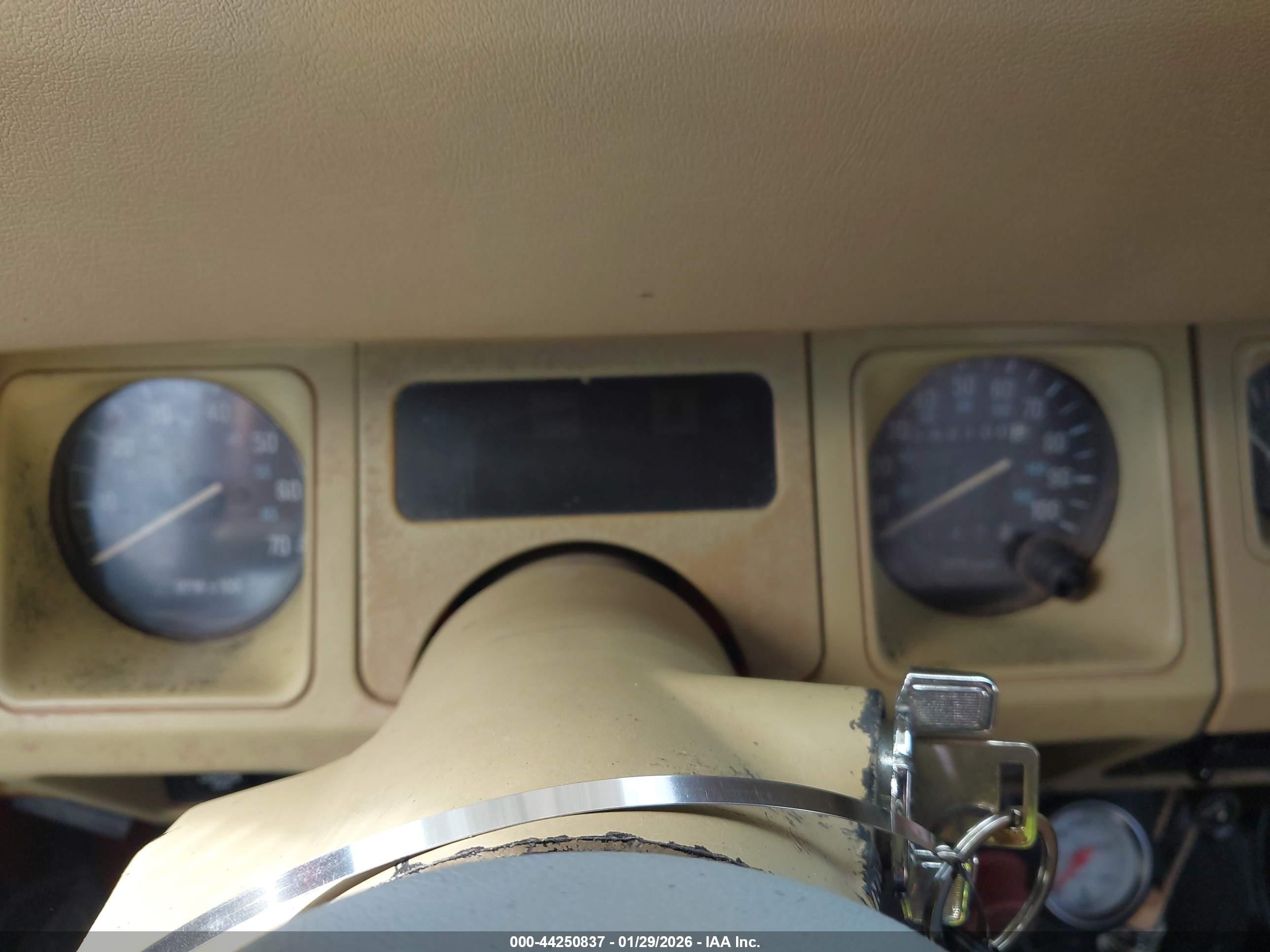 JEEP WRANGLER image 7