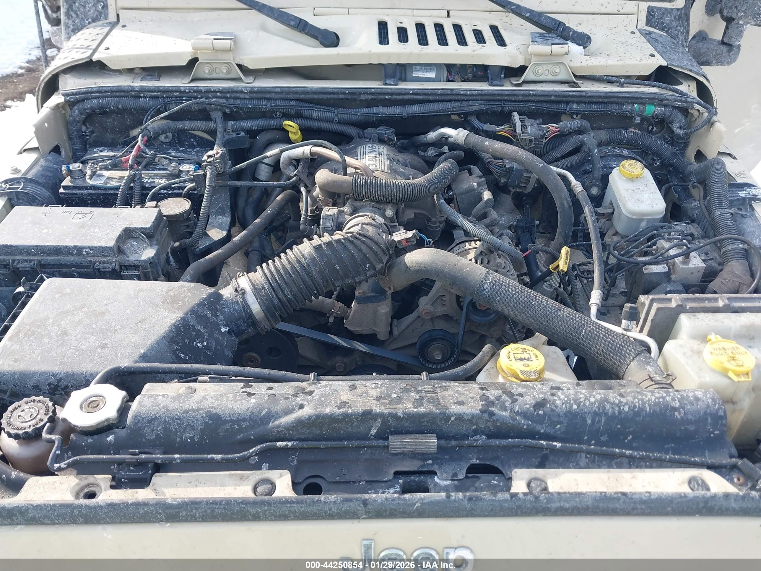 JEEP WRANGLER image 10