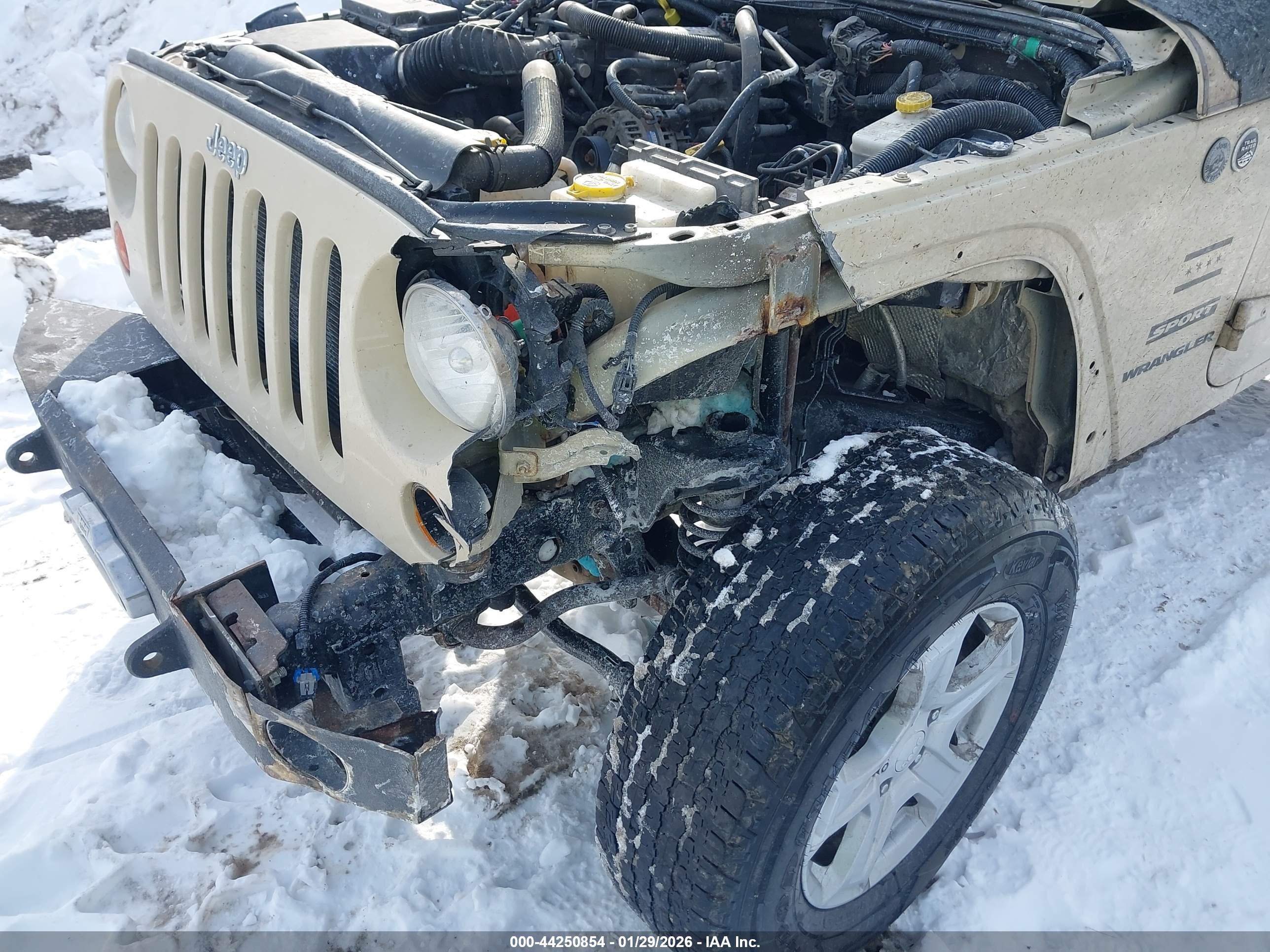 JEEP WRANGLER image 6