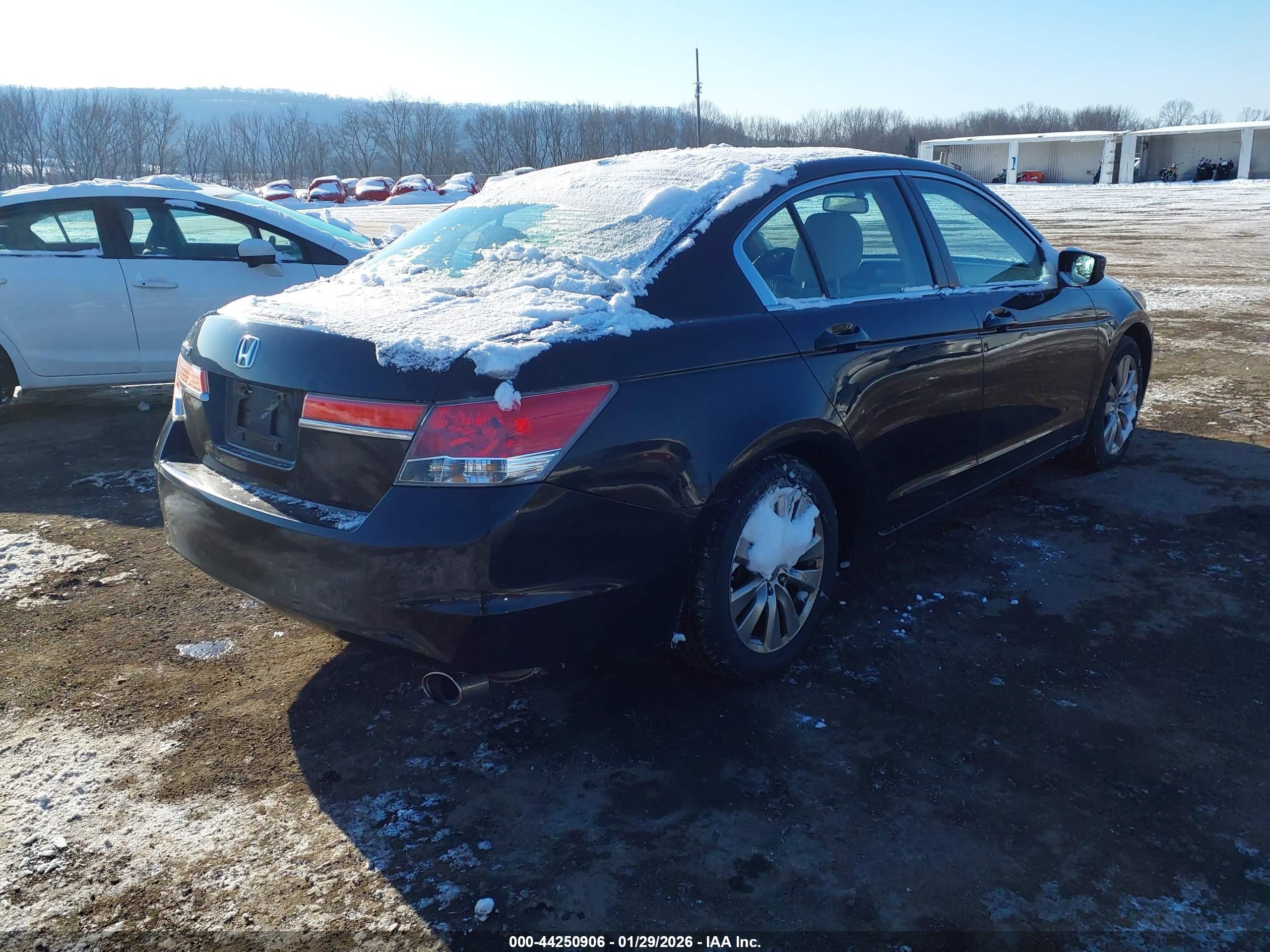 HONDA ACCORD image 4