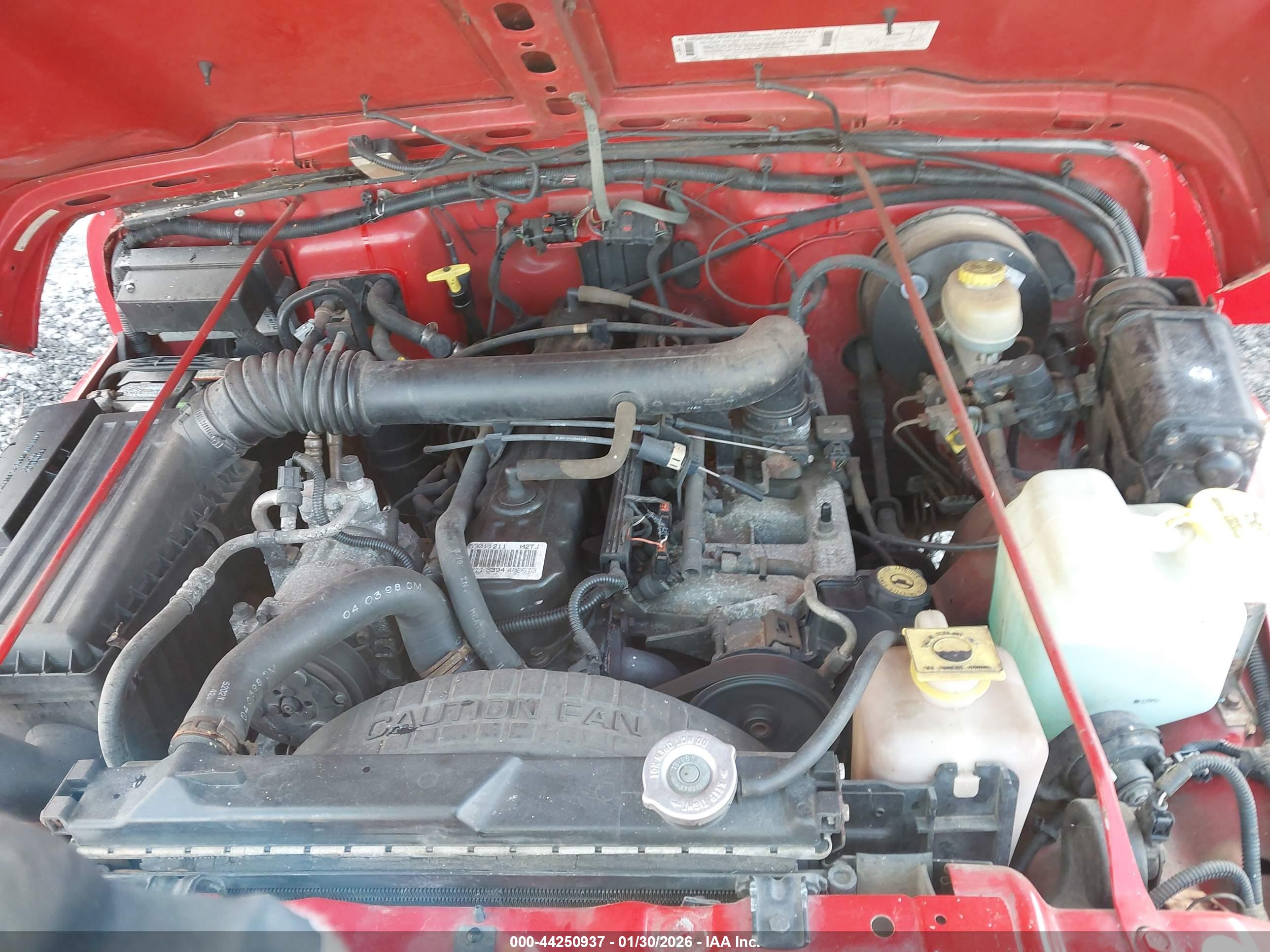 JEEP WRANGLER image 10