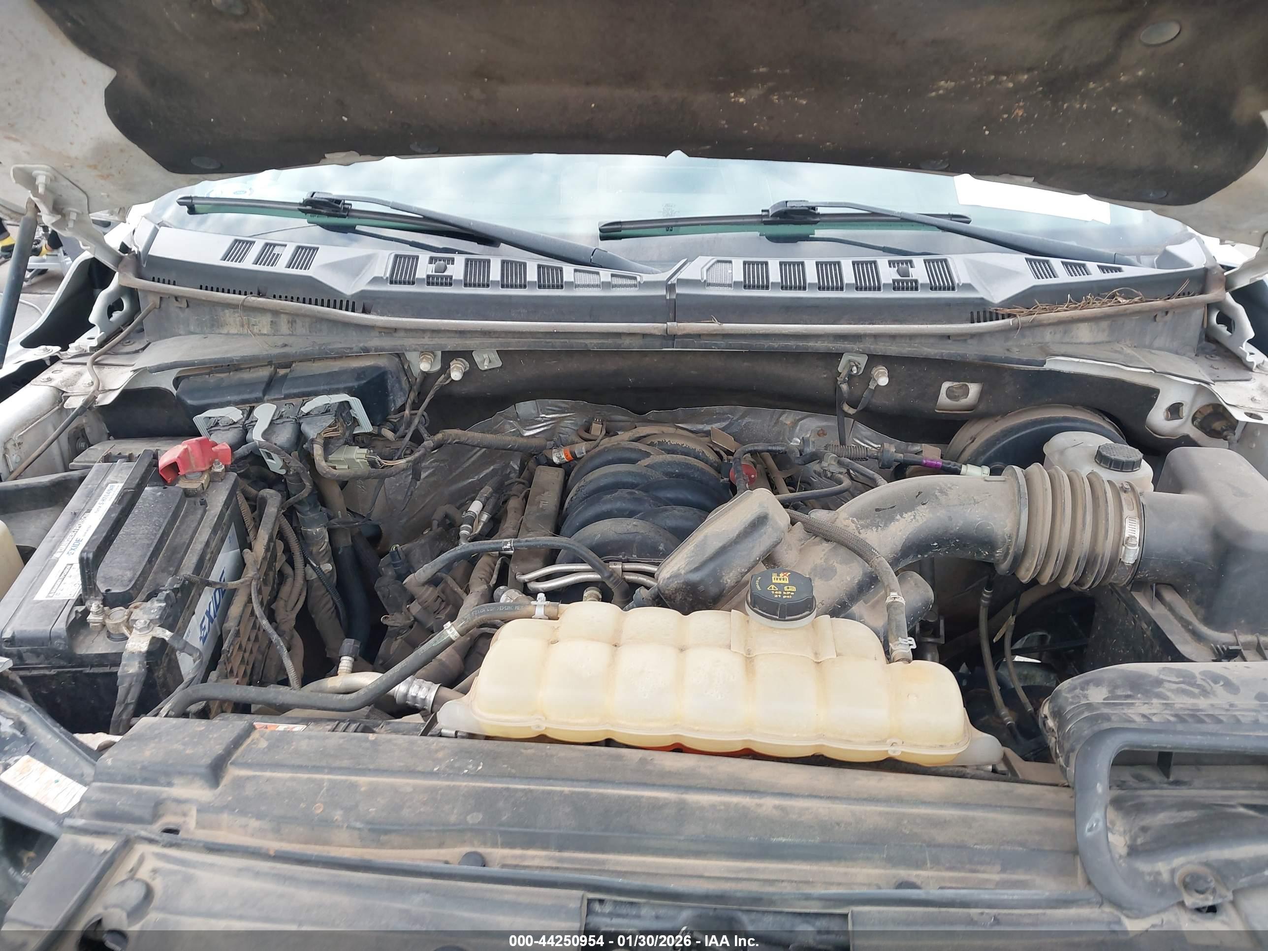 FORD F-150 image 10