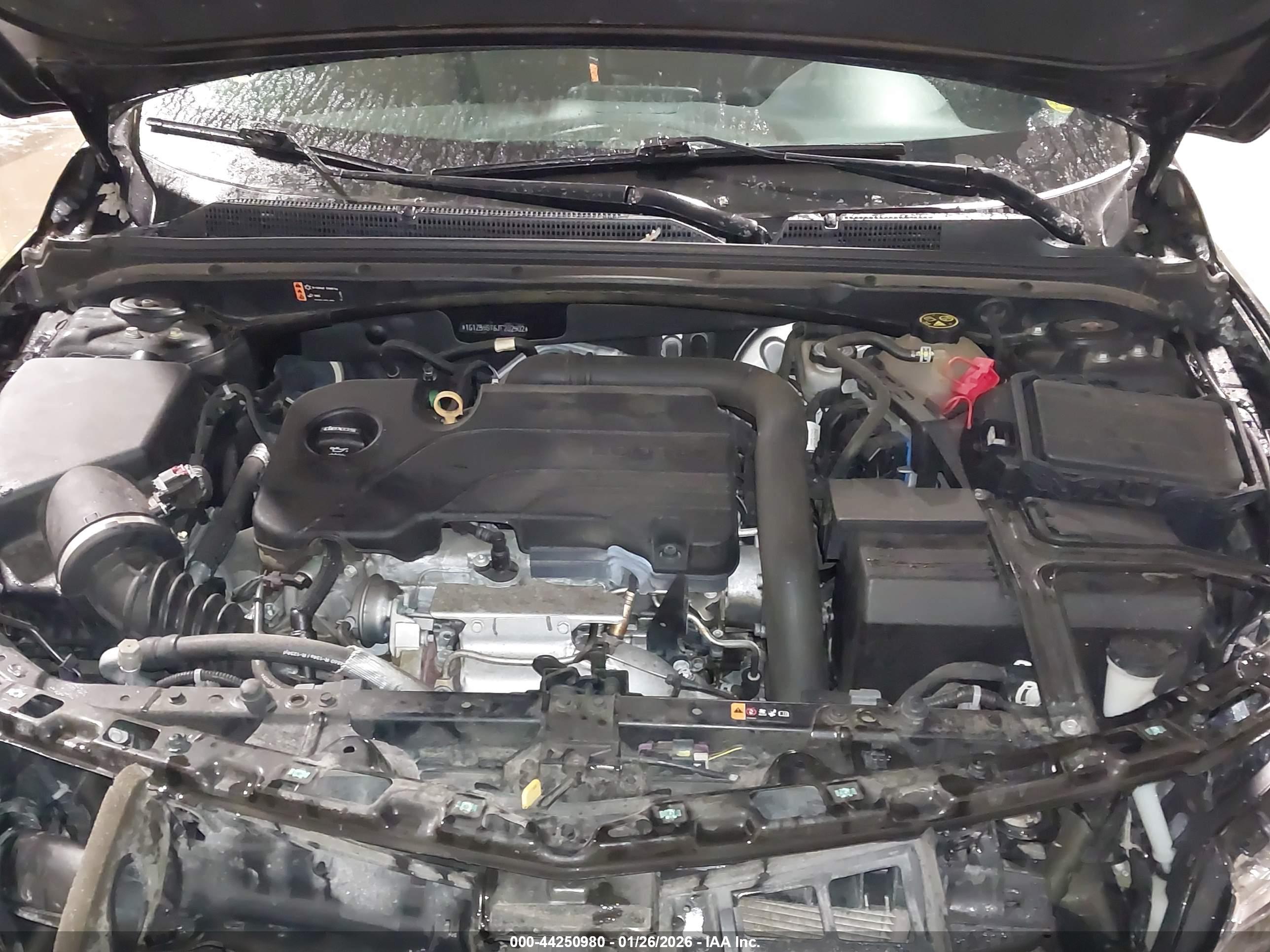 CHEVROLET MALIBU image 10