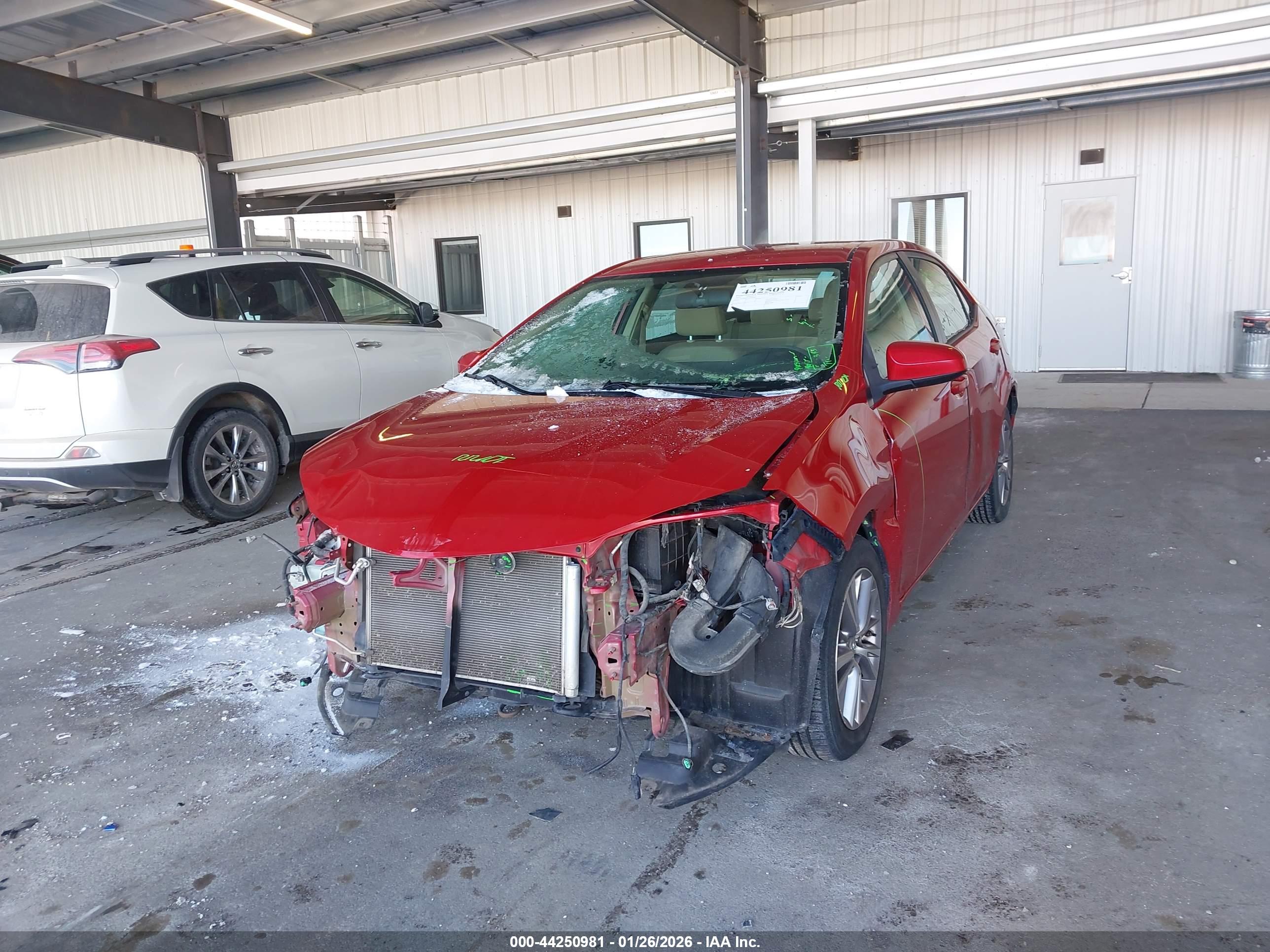 TOYOTA COROLLA image 6