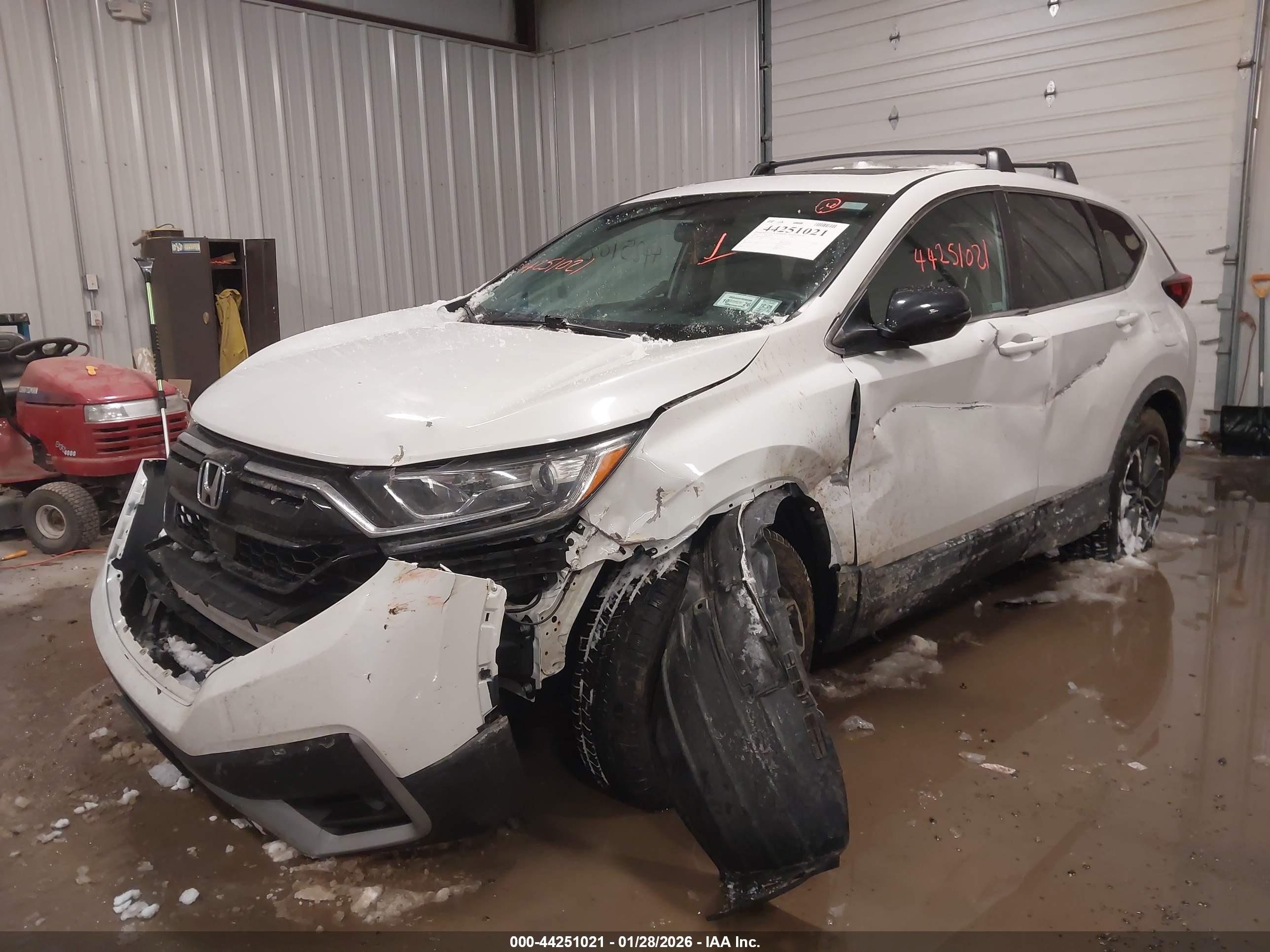 HONDA CR-V image 6