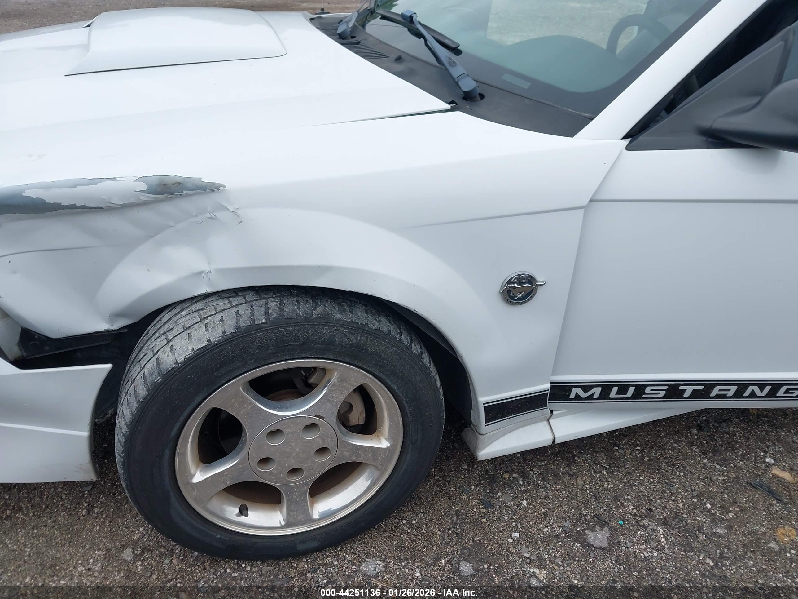 FORD MUSTANG image 6