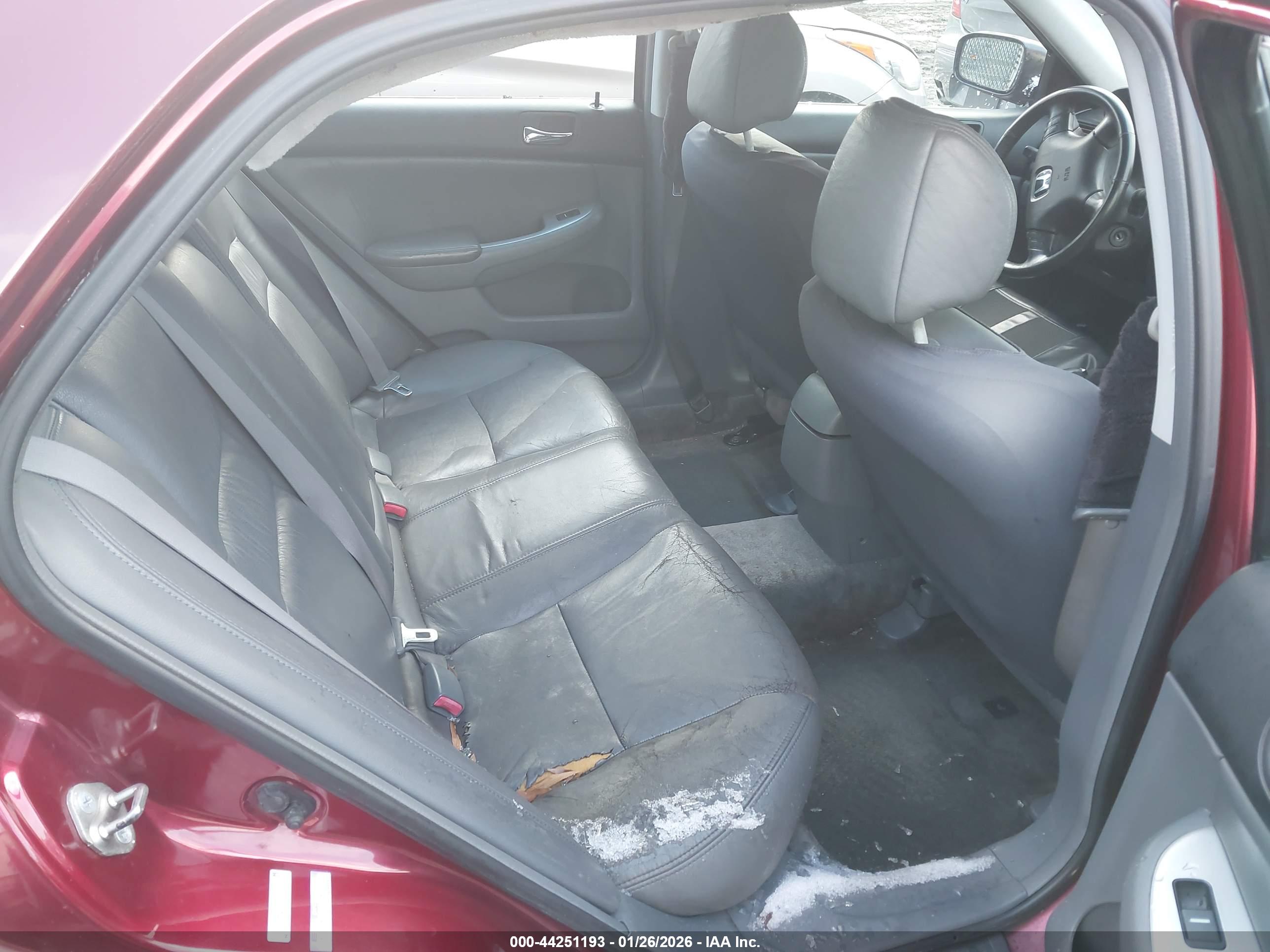 HONDA ACCORD image 8