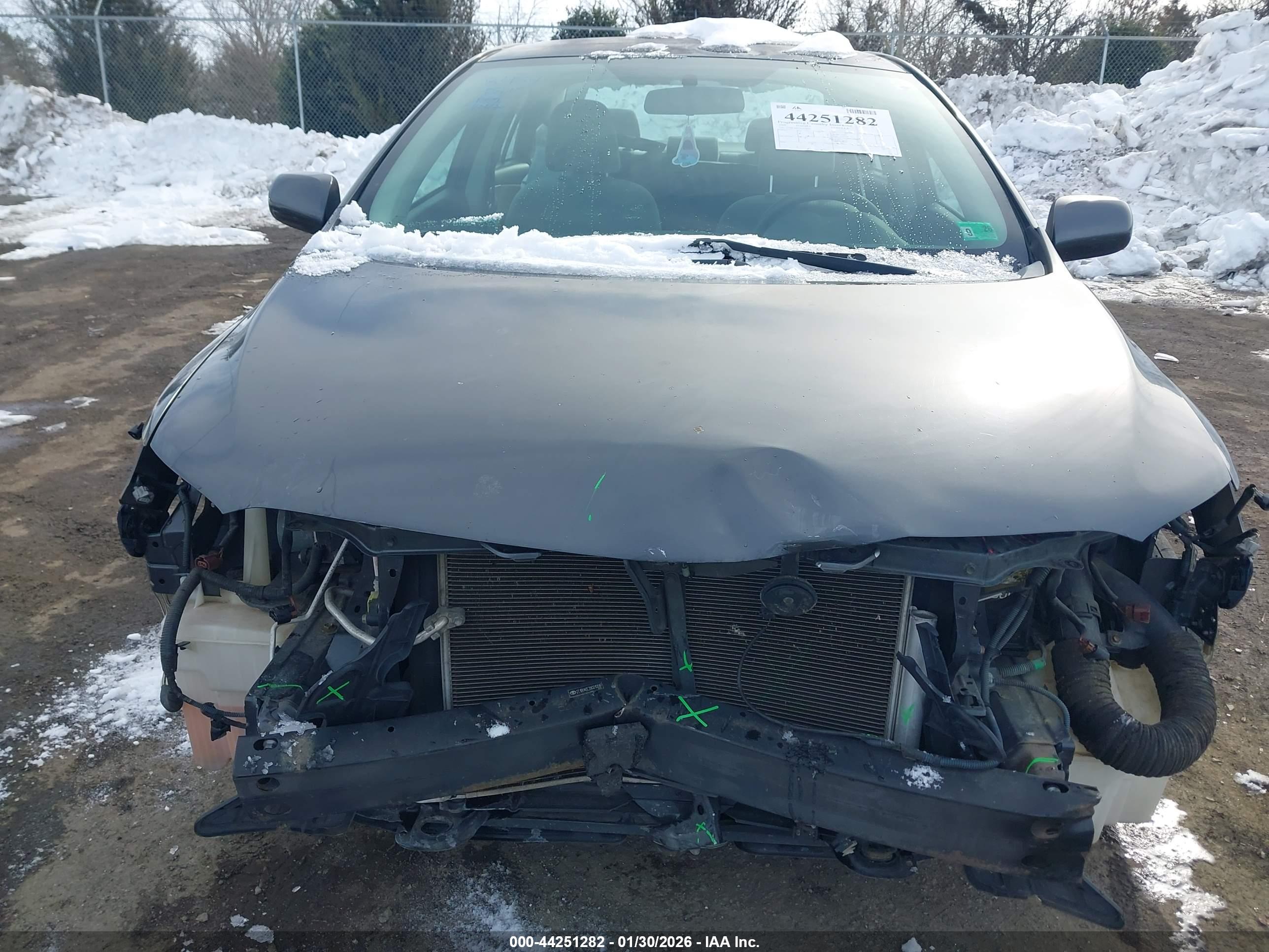 TOYOTA COROLLA image 6